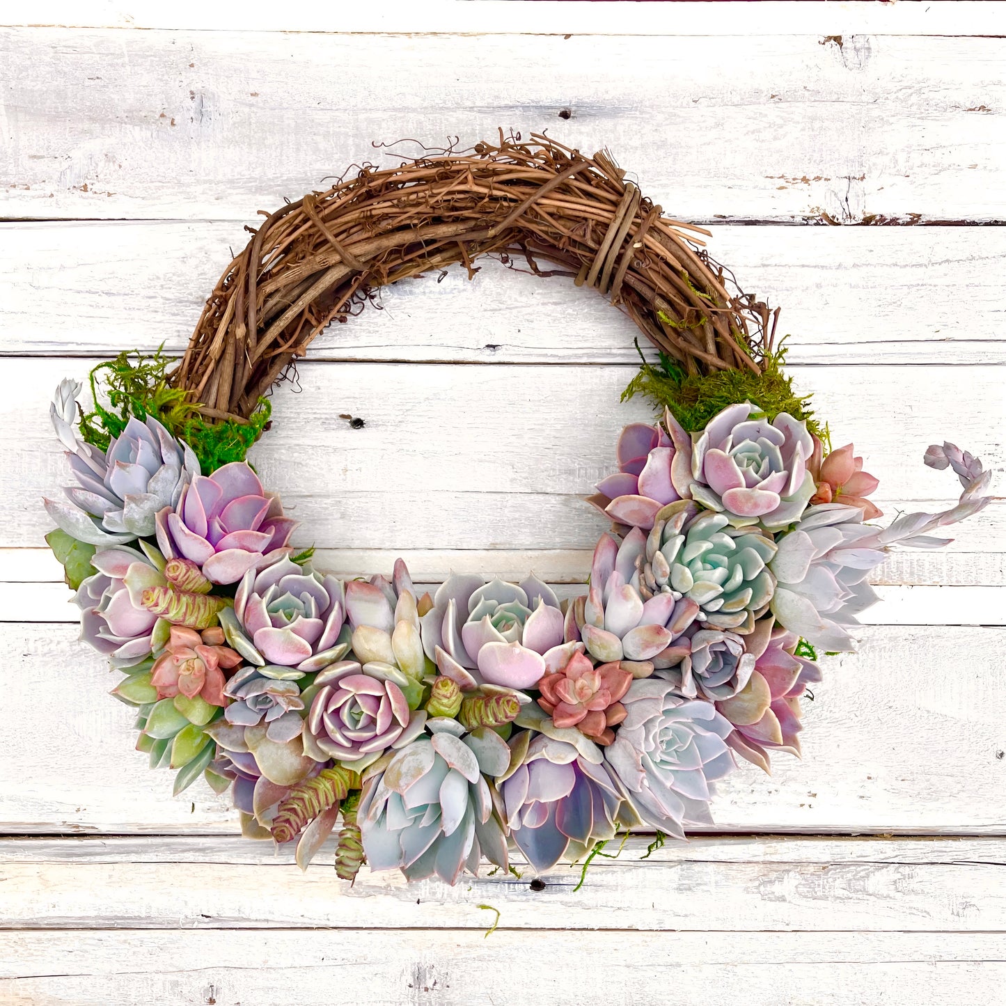 Emilee Grapevine Wreath Trimmed With Succulents