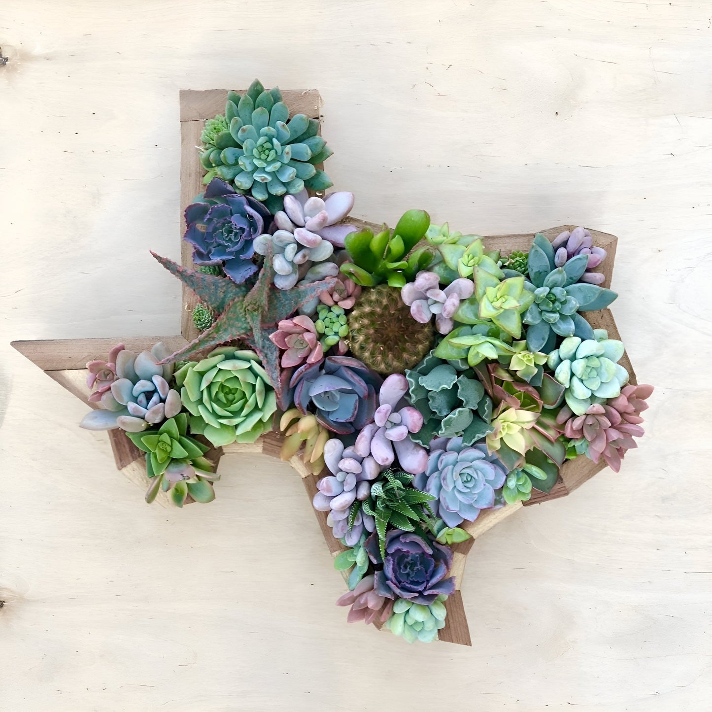 Texas Love Vertical Garden – Custom Succulent Wall Art (15 Inches Wide) - Succulent Artworks