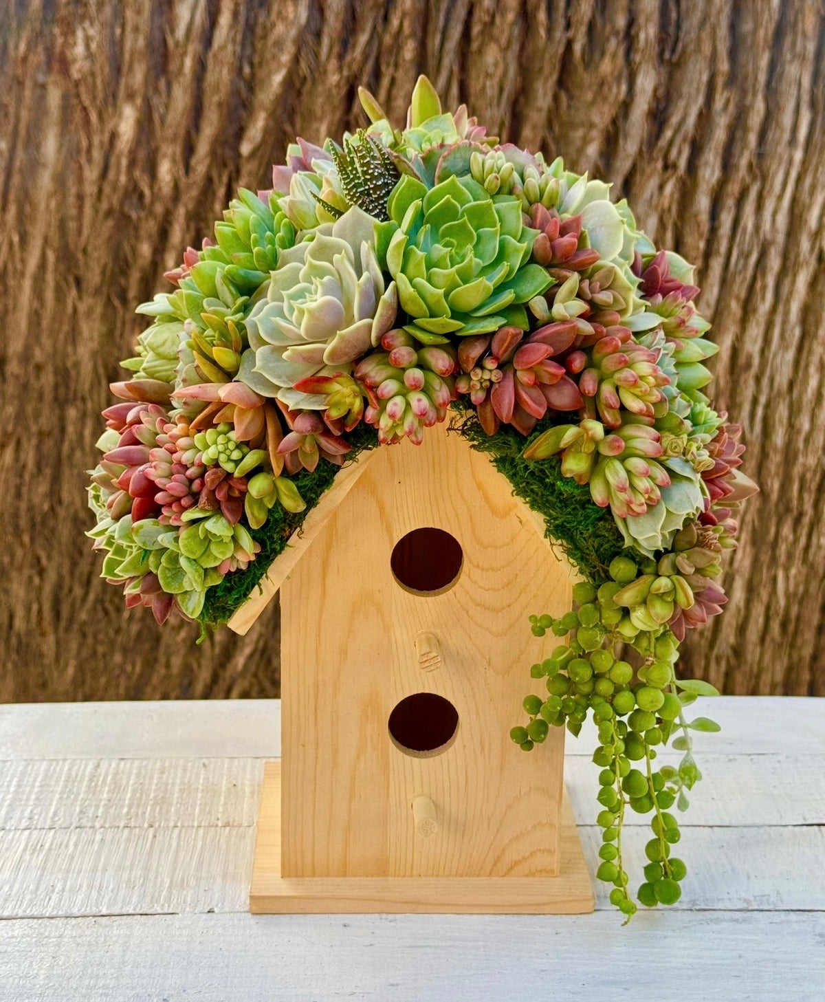 Birdhouse Arrangement