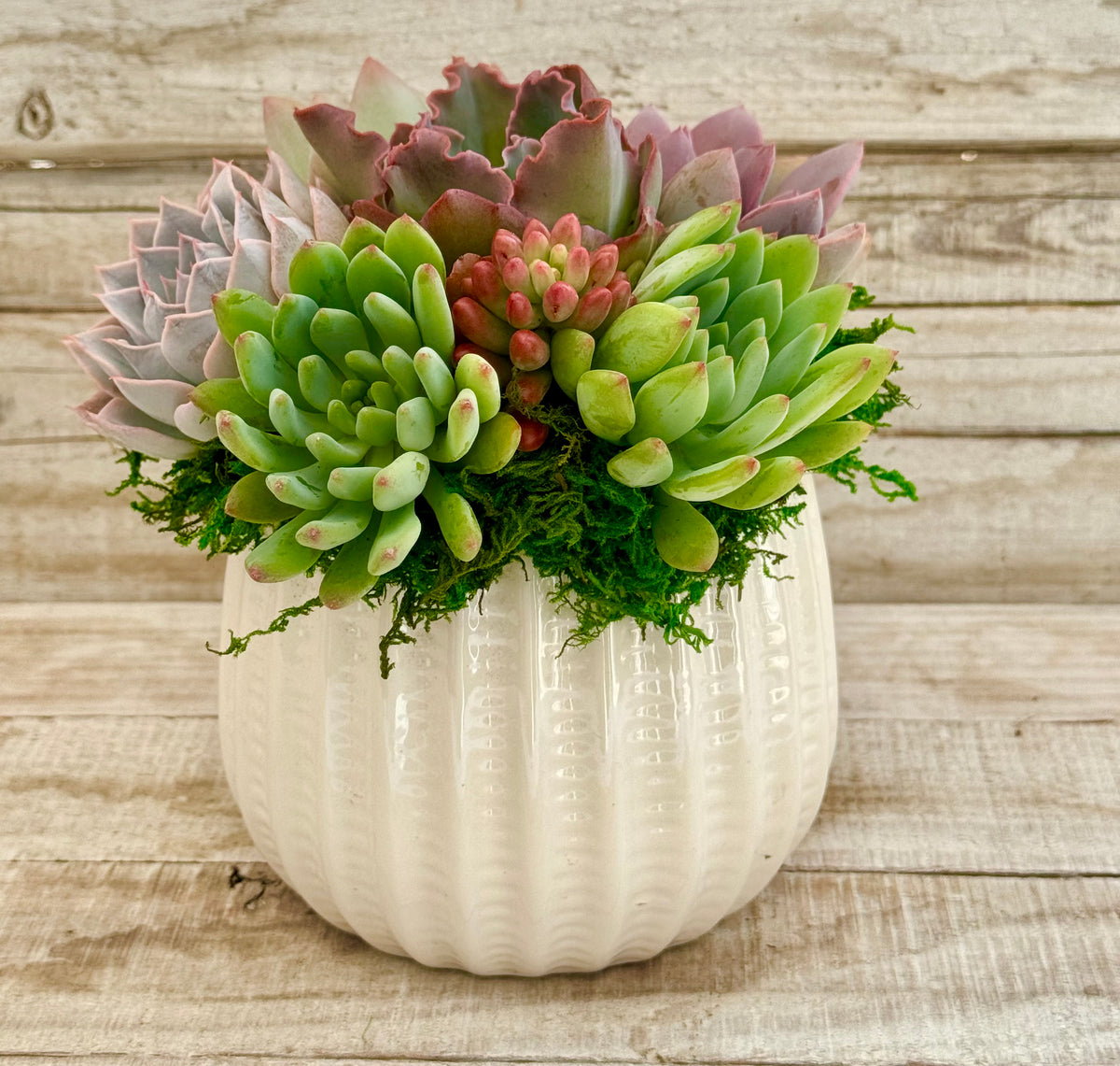 Jacklyn Planter