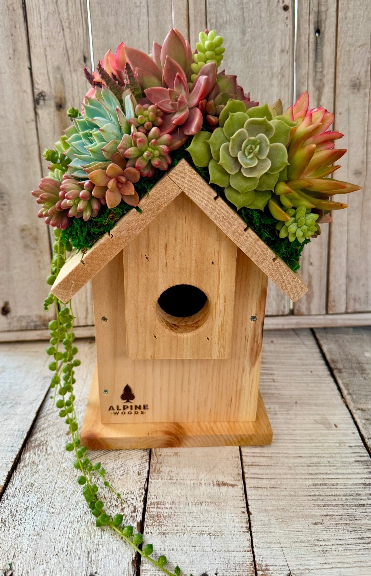 Birdhouse Arrangement