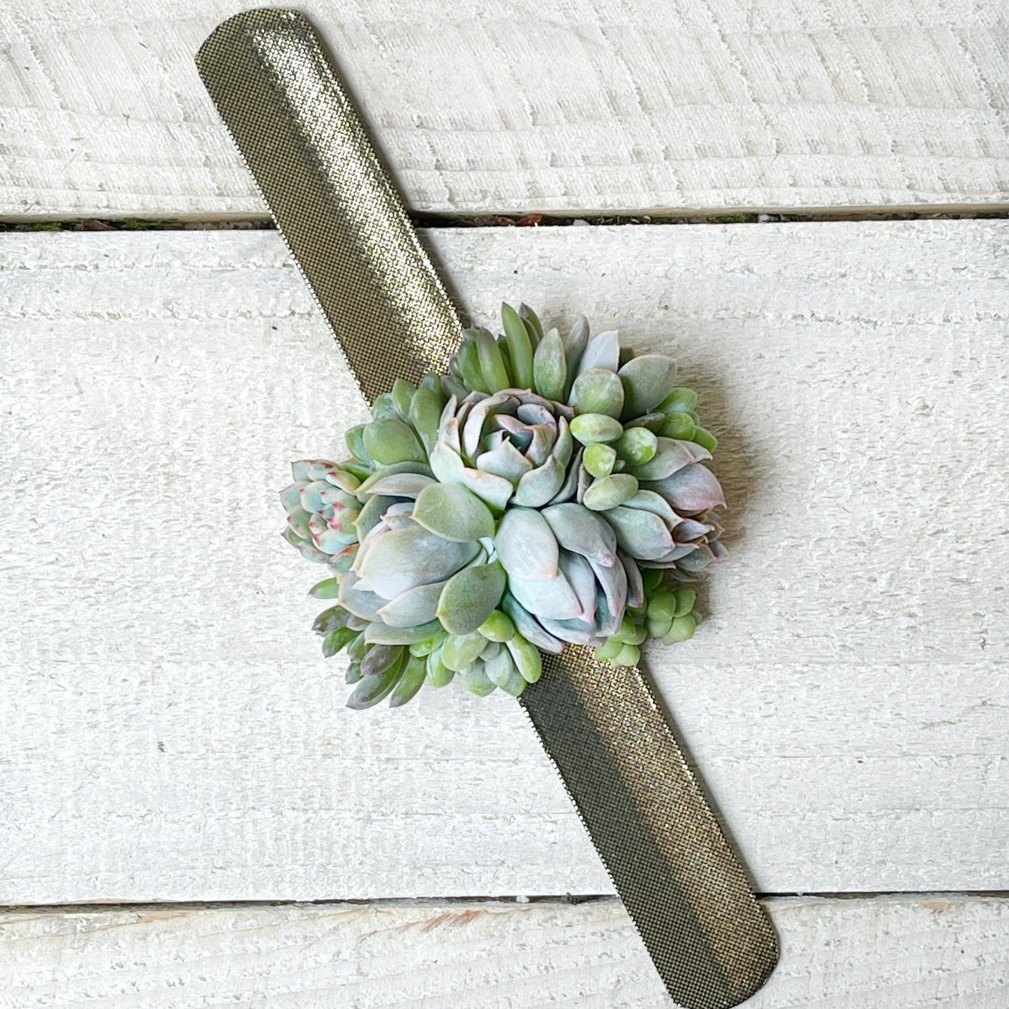 Boutonniere, Shoulder Corsage and Wrist Corsage - Succulent Artworks