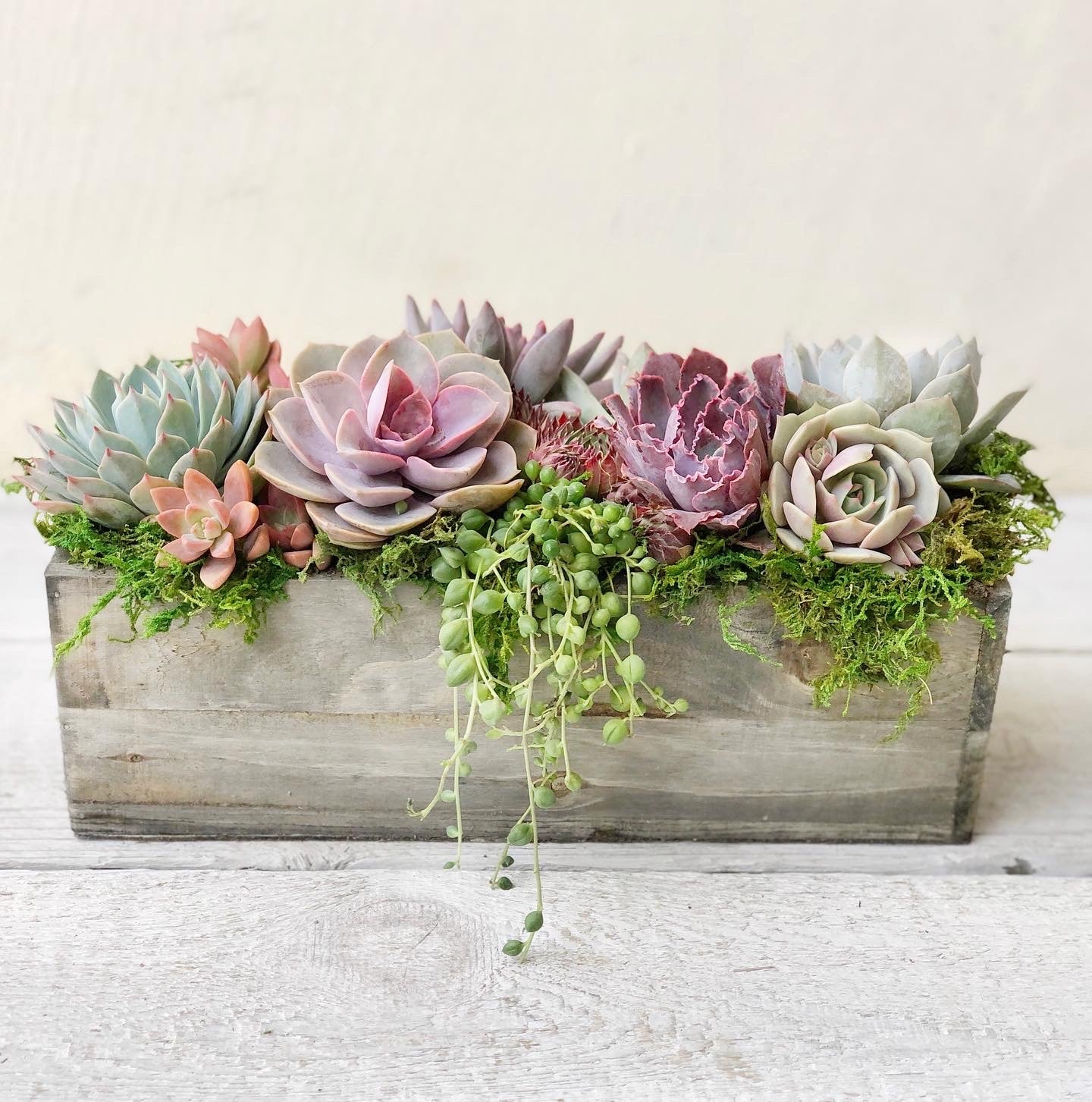 Napa Valley Planter - Succulent Artworks