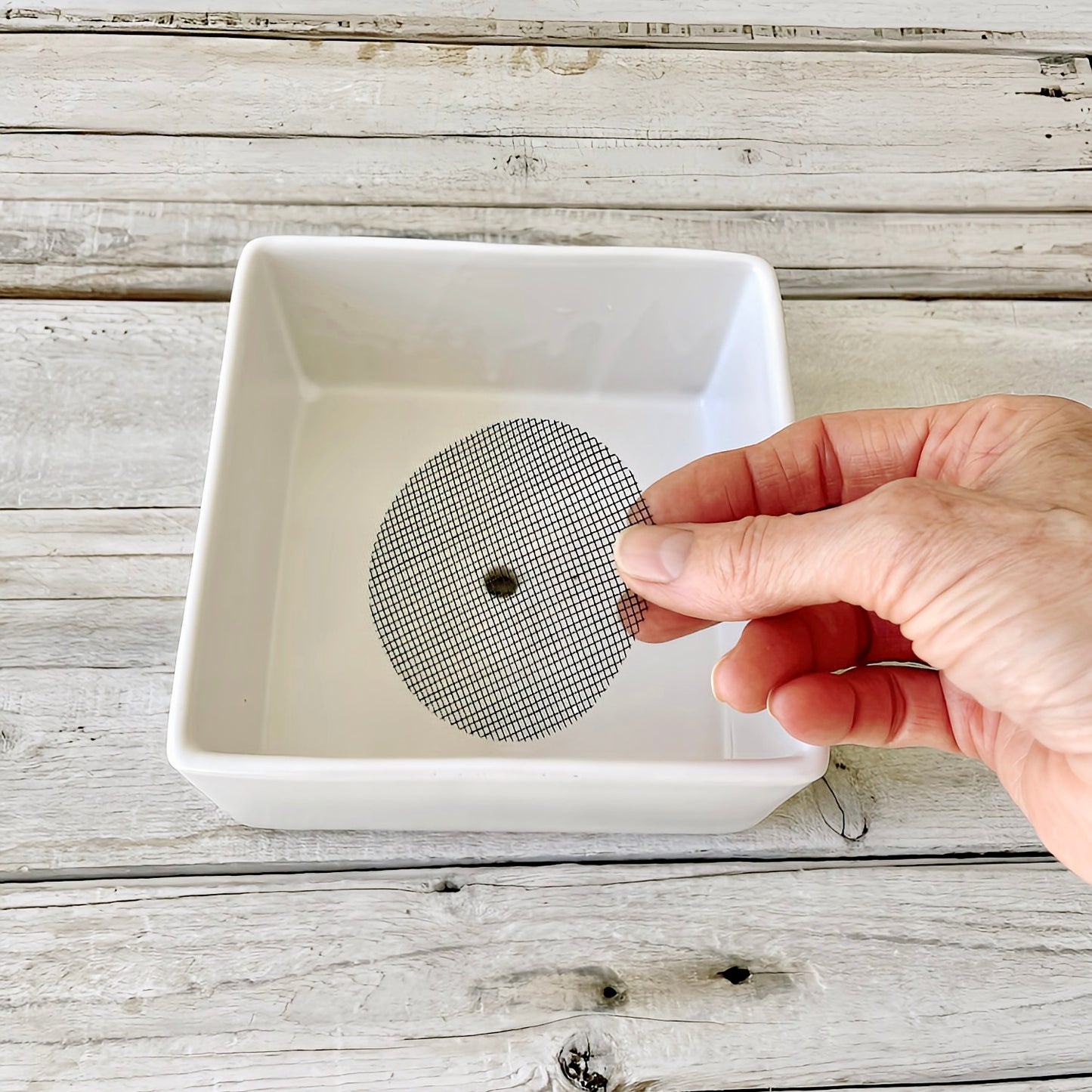 Mesh Drainage Hole Screens – Pack of 25 - Succulent Artworks