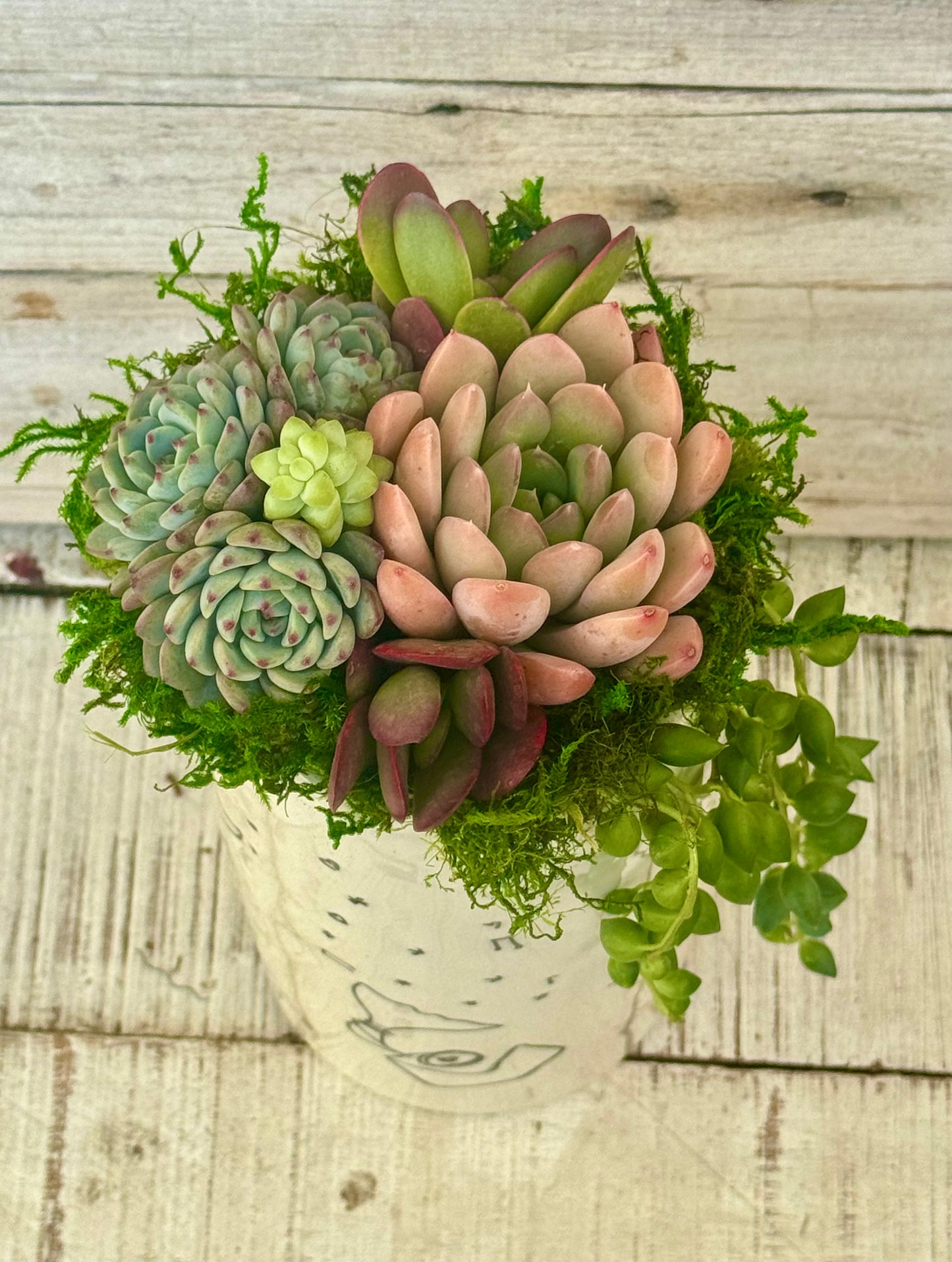 Love Letter Vase Planted With Succulents