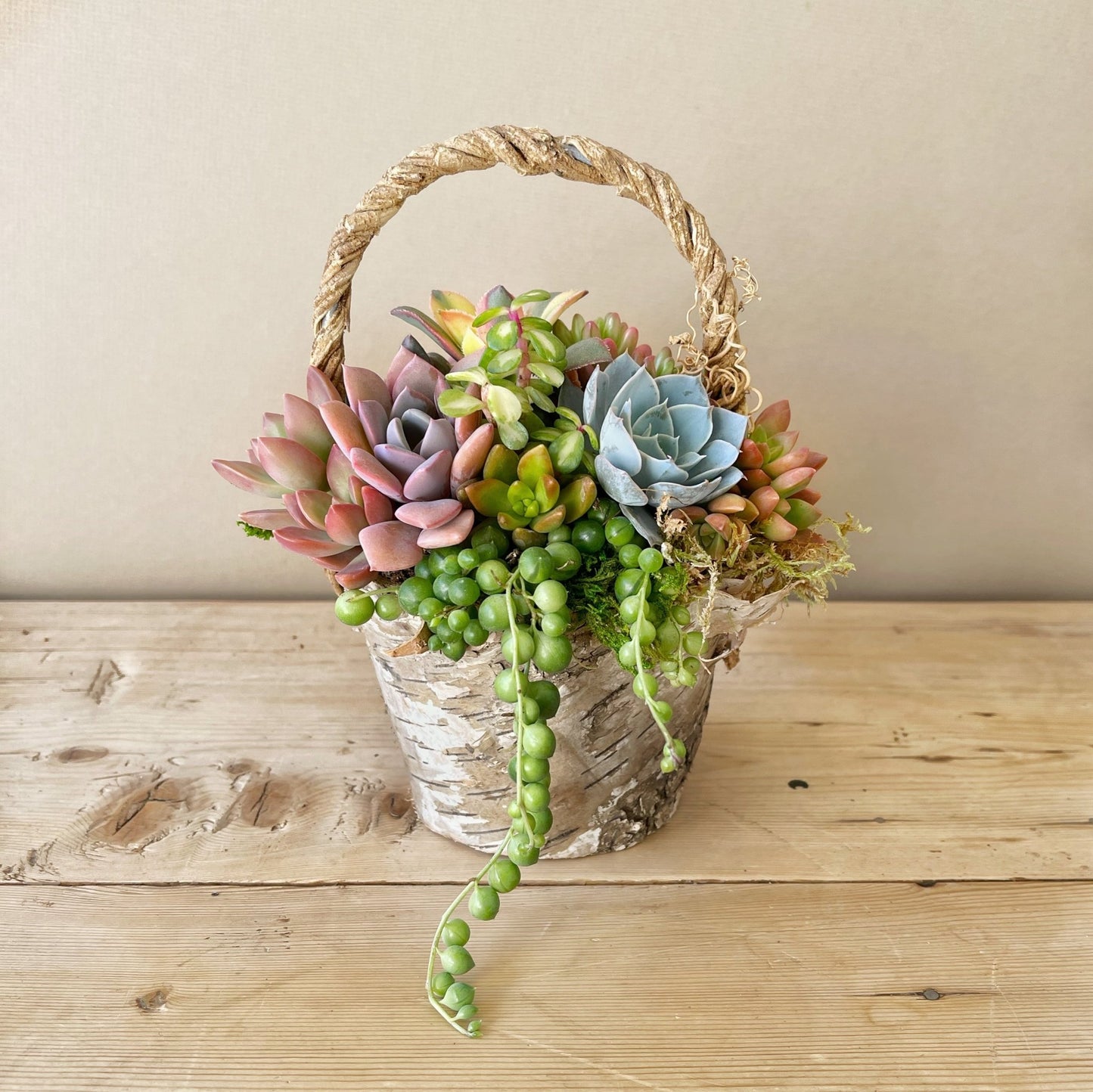 Meadow Basket of Succulents - Succulent Artworks