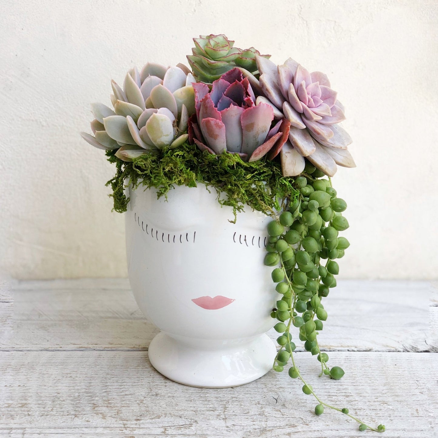 Girlfriends Planter - Succulent Artworks