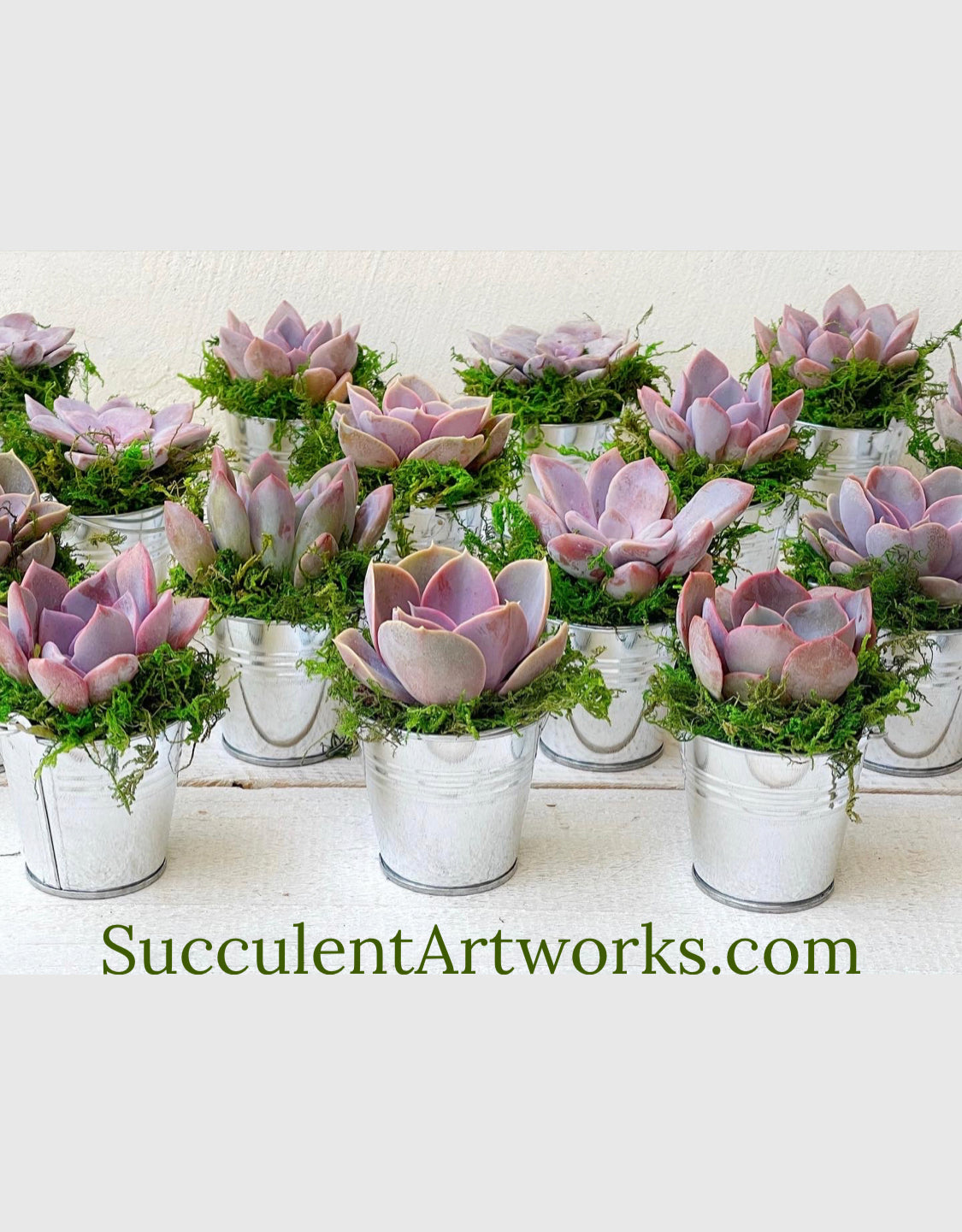 Succulent Favors in Mini Farmhouse Buckets