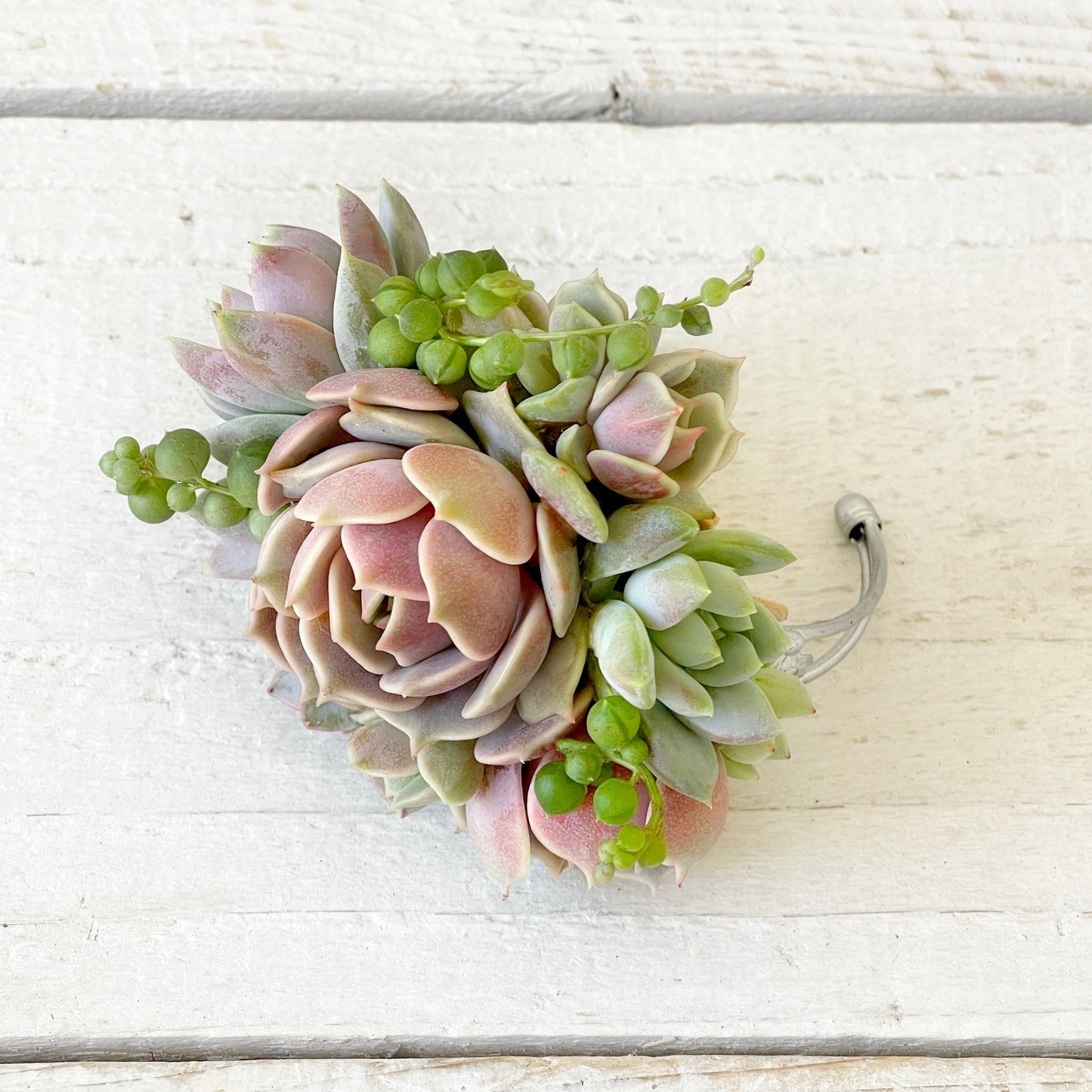 Succulent Bracelet - Succulent Artworks