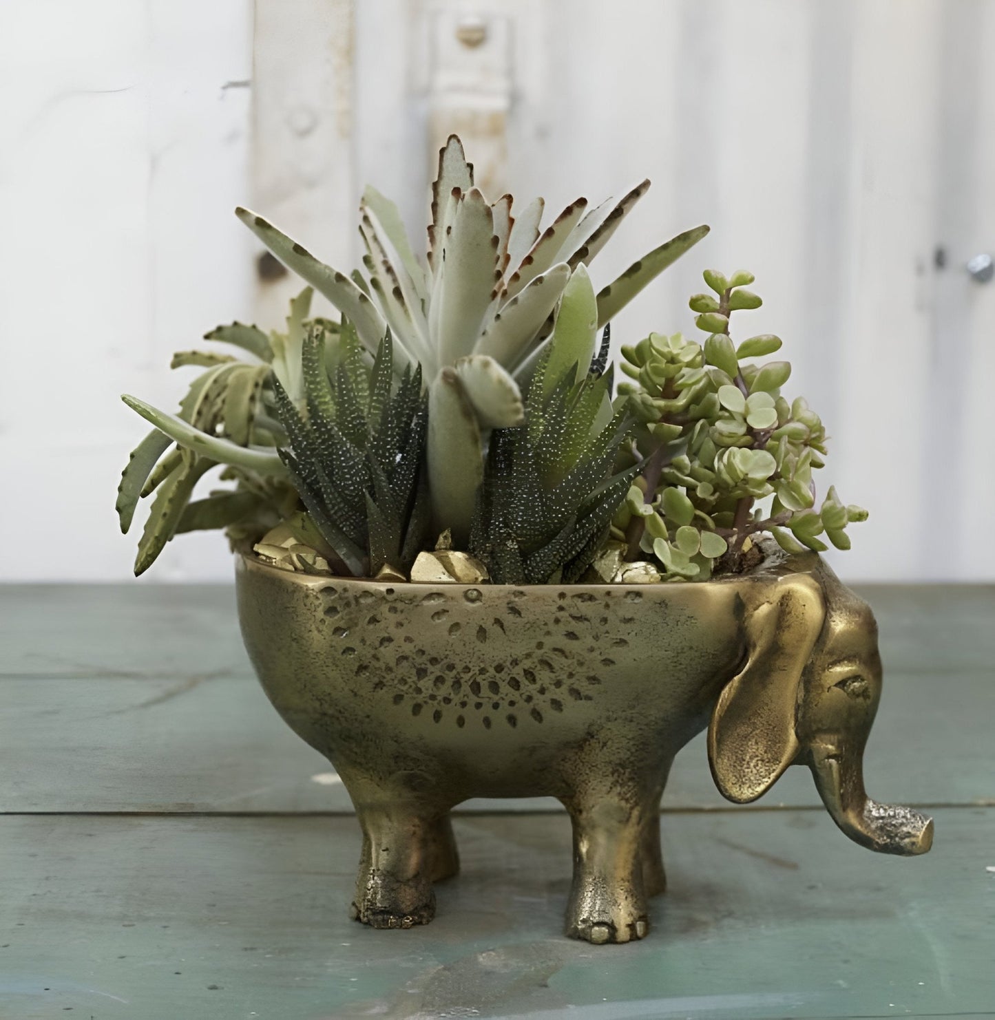 Ezzie Elephant Pot - Succulent Artworks