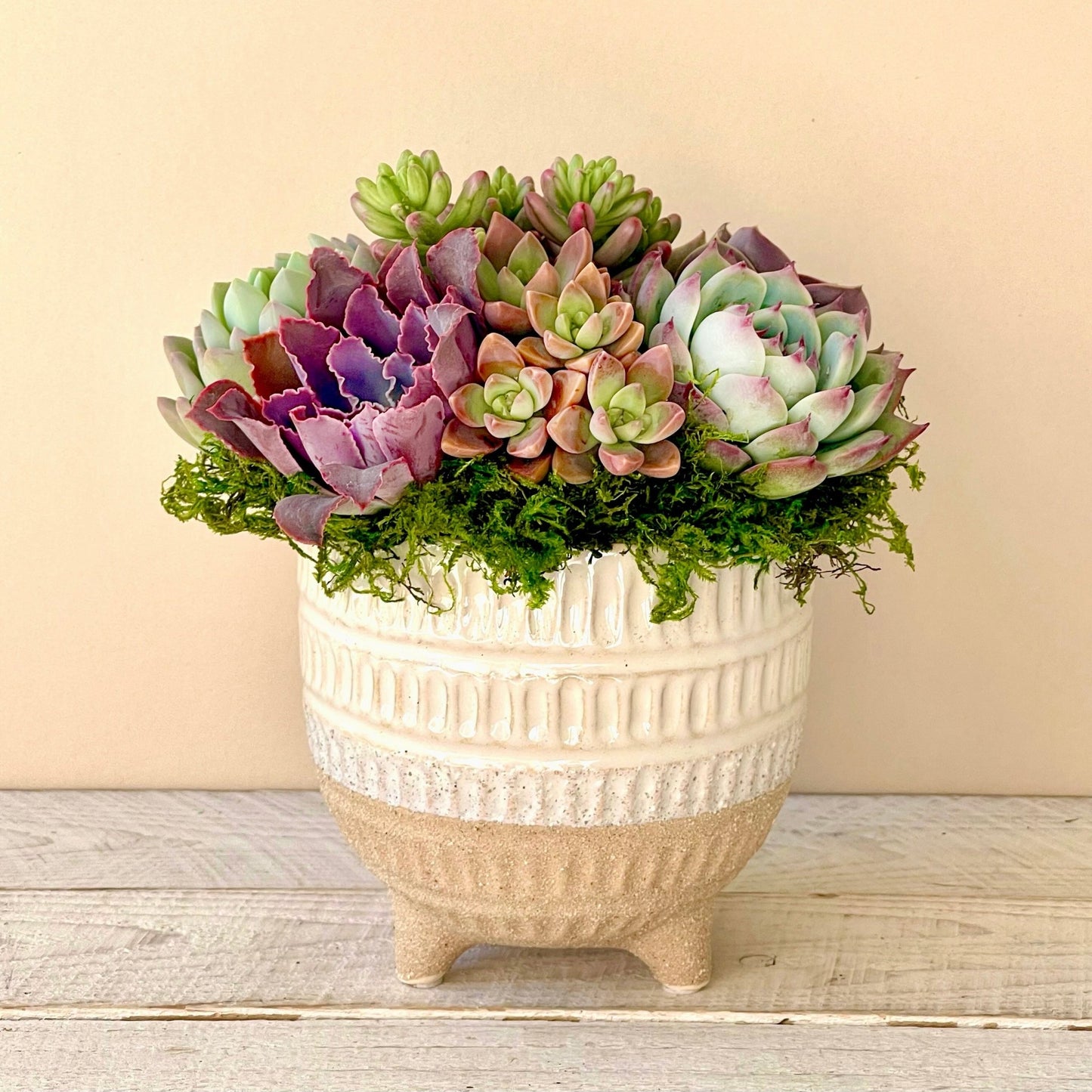 Rebecca Cachepot - Succulent Artworks