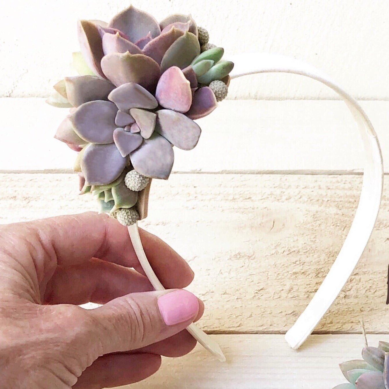 Succulent Headband - Succulent Artworks