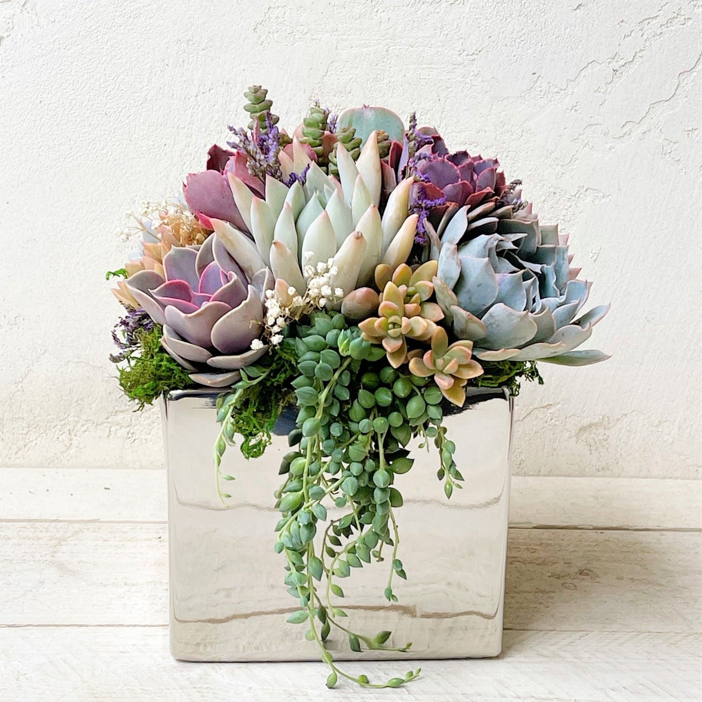 Elegant Metallic Glazed Ceramic Cube, Planted with Succulents - Succulent Artworks