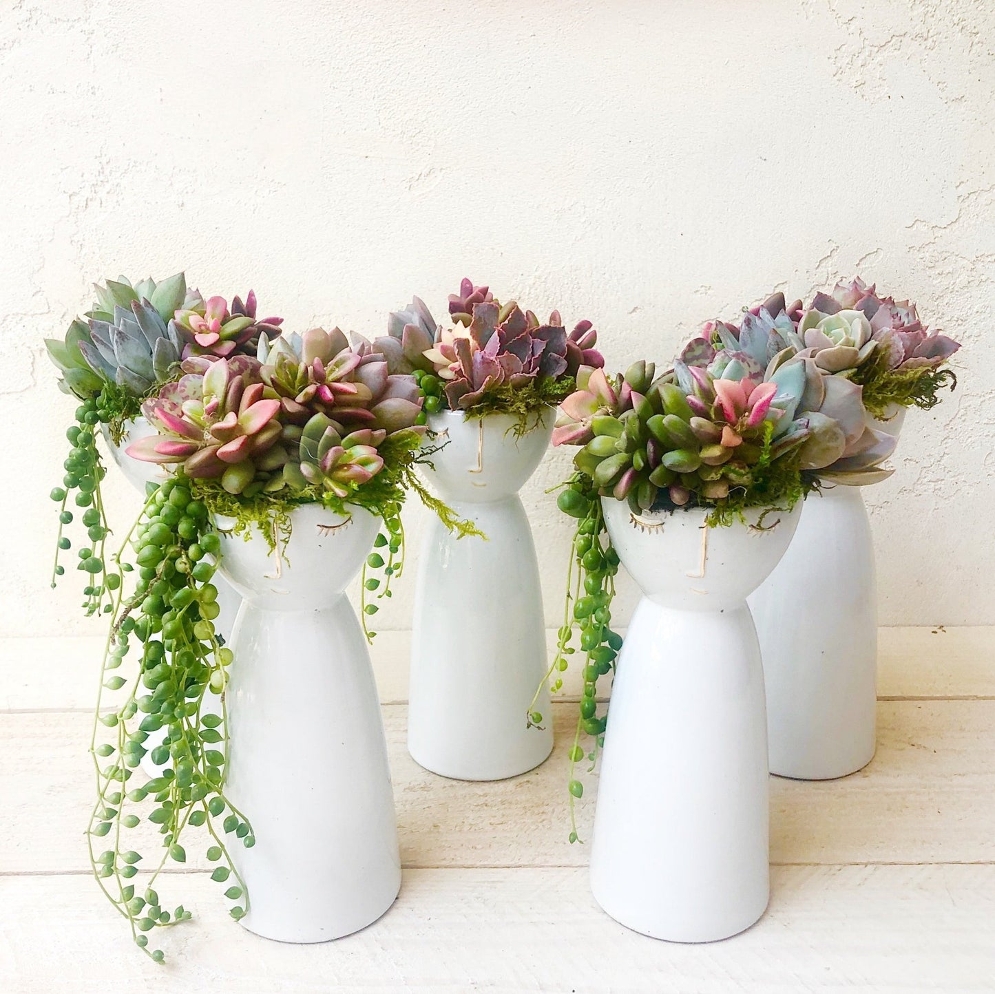 Angels Without Wings Succulent Arrangement - Succulent Artworks