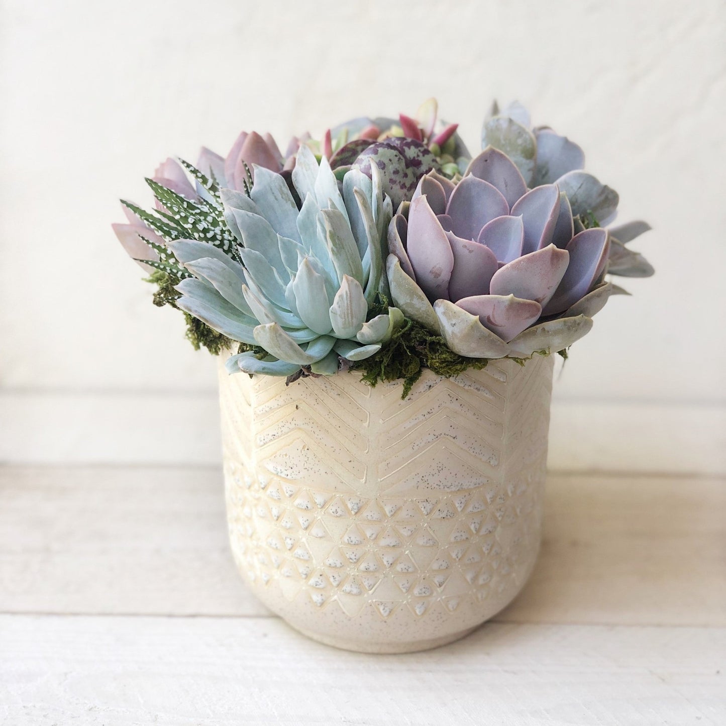 Mila Succulent Planter With Pastel Colored Succulents - Succulent Artworks