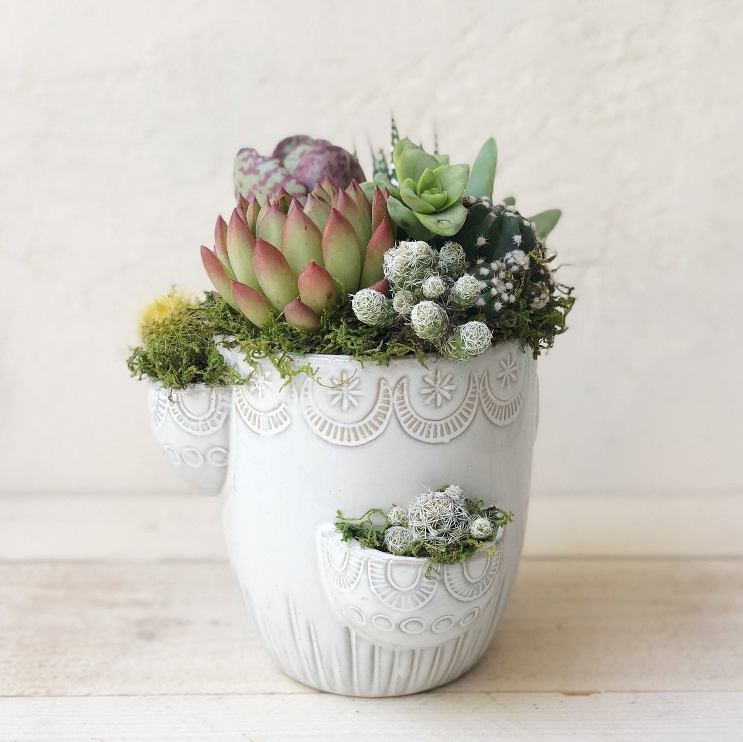 Abigail Pocketed Planter - Succulent Artworks
