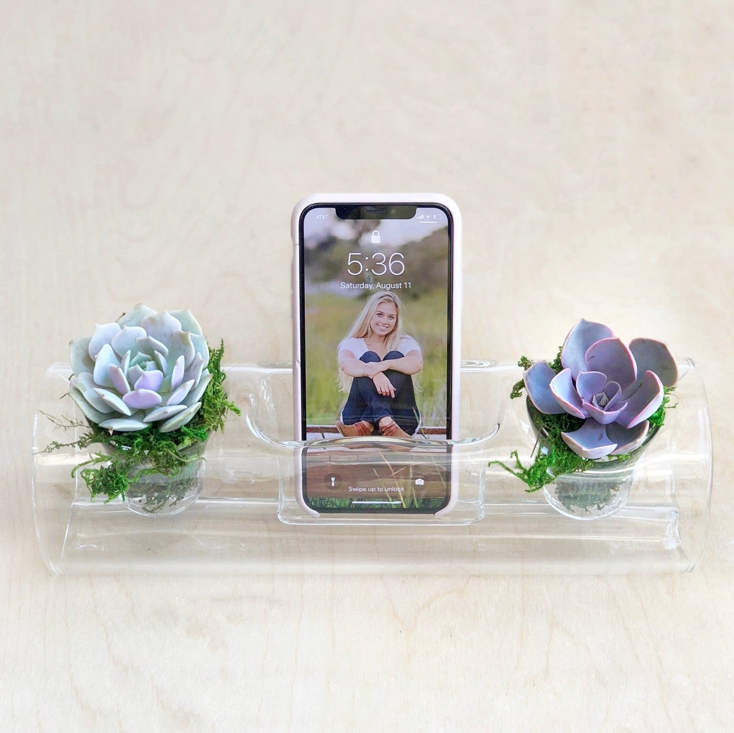 Succulent Planter & Mobile Phone Holder - Succulent Artworks