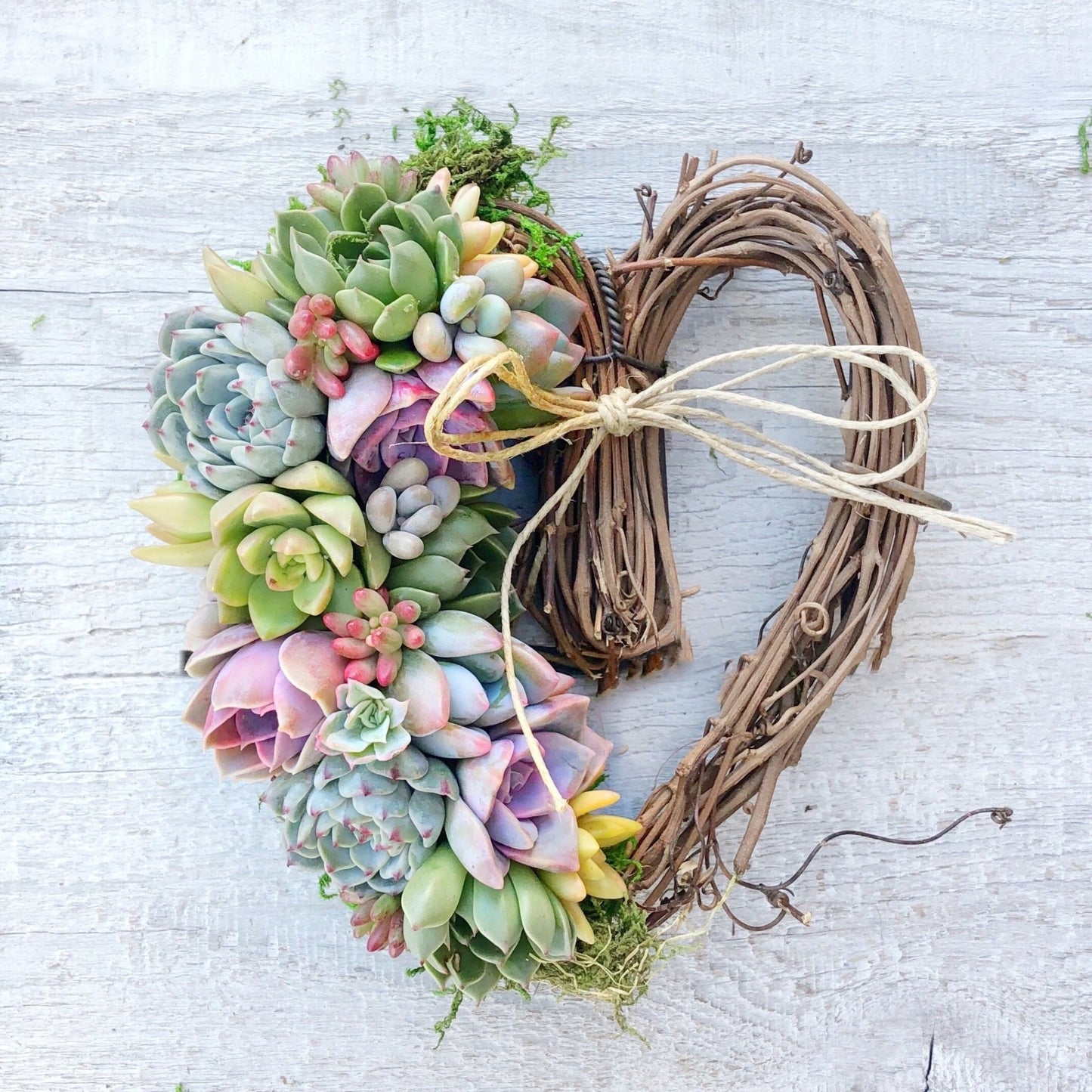 Sarah Succulent Trimmed Wreath - Succulent Artworks