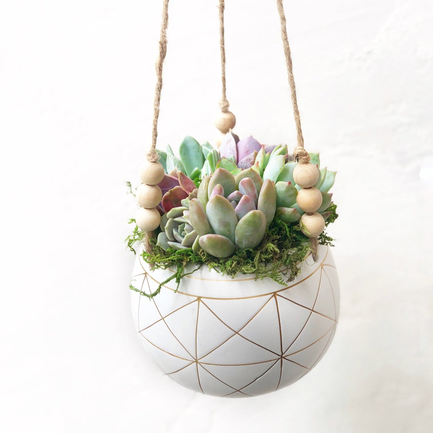 Astrid Hanging Planter - Succulent Artworks