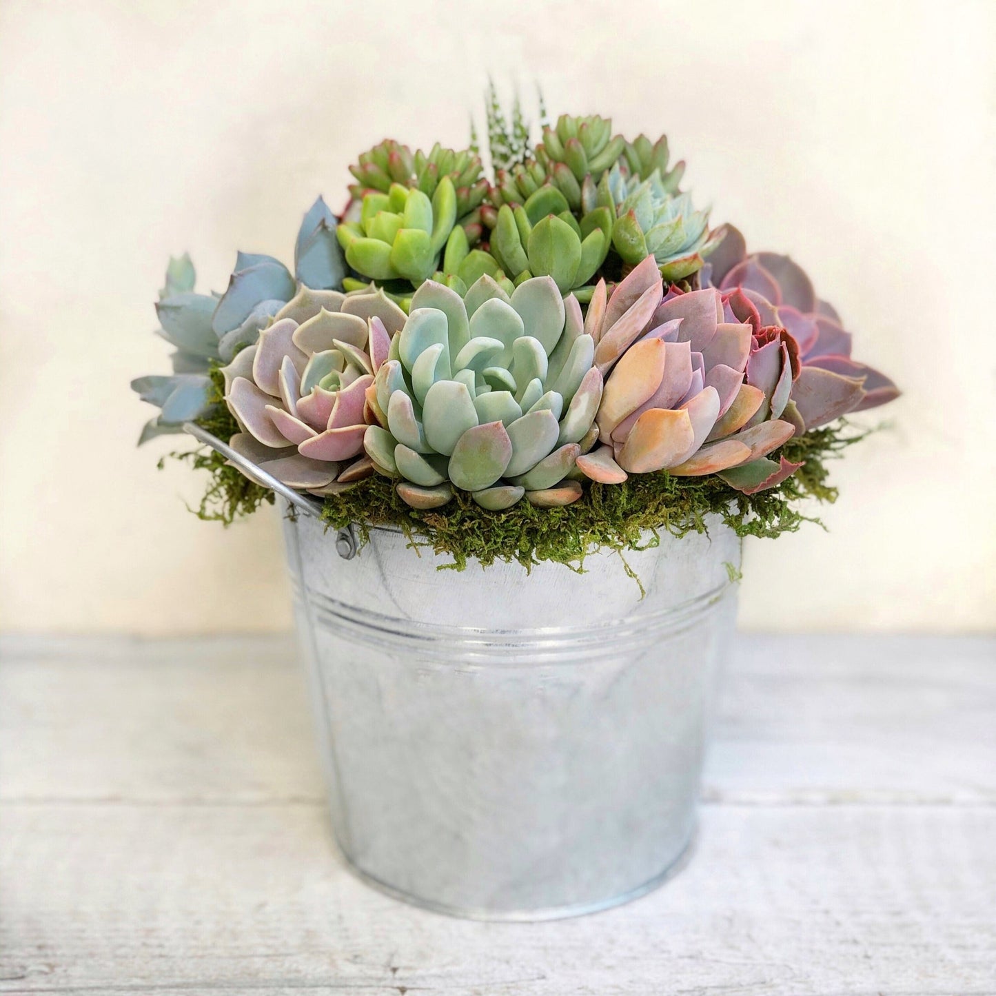 Gabrielle French Farmhouse Pail - Succulent Artworks