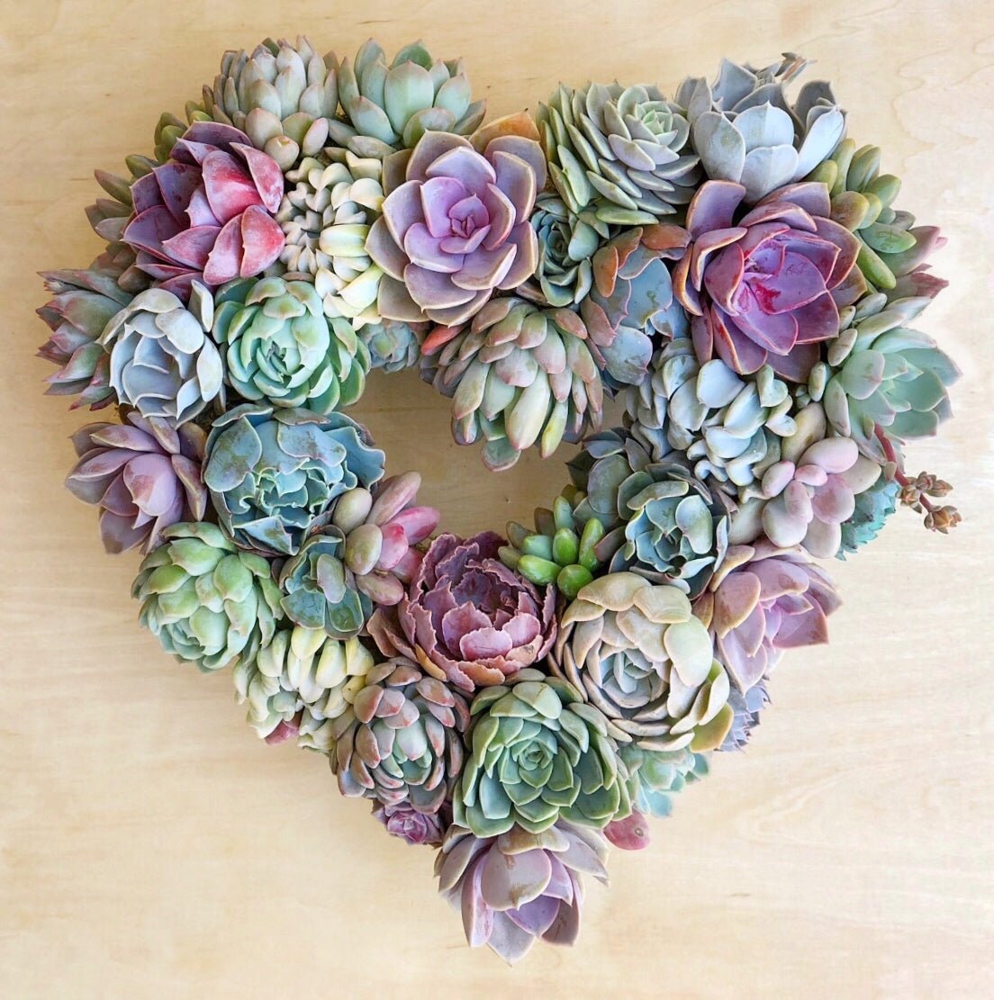 succulent wreath artificial Succulent Arrangement