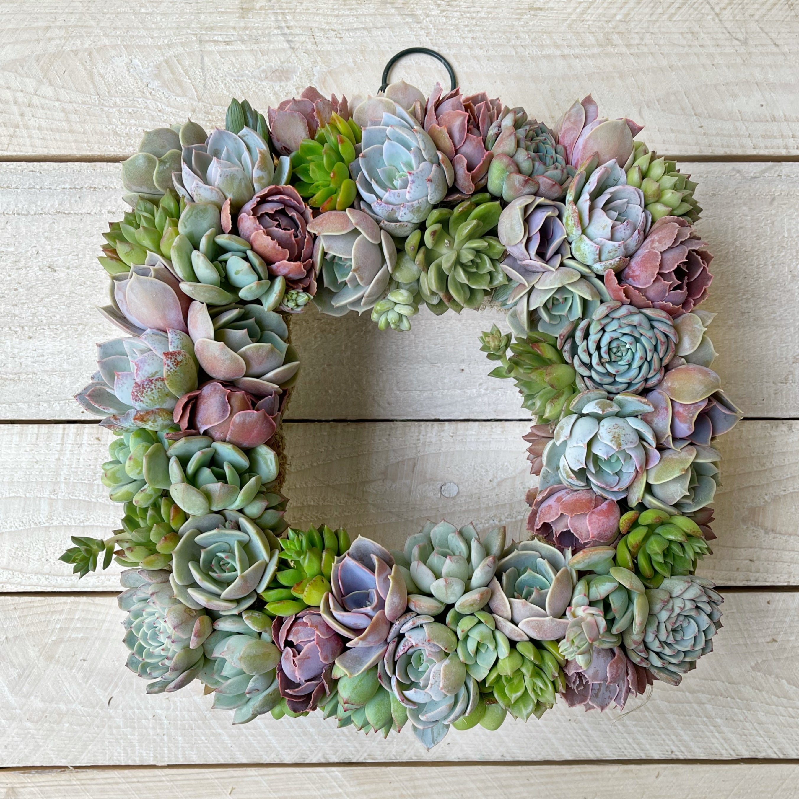 Helen Succulent Square Wreath – Succulent Artworks