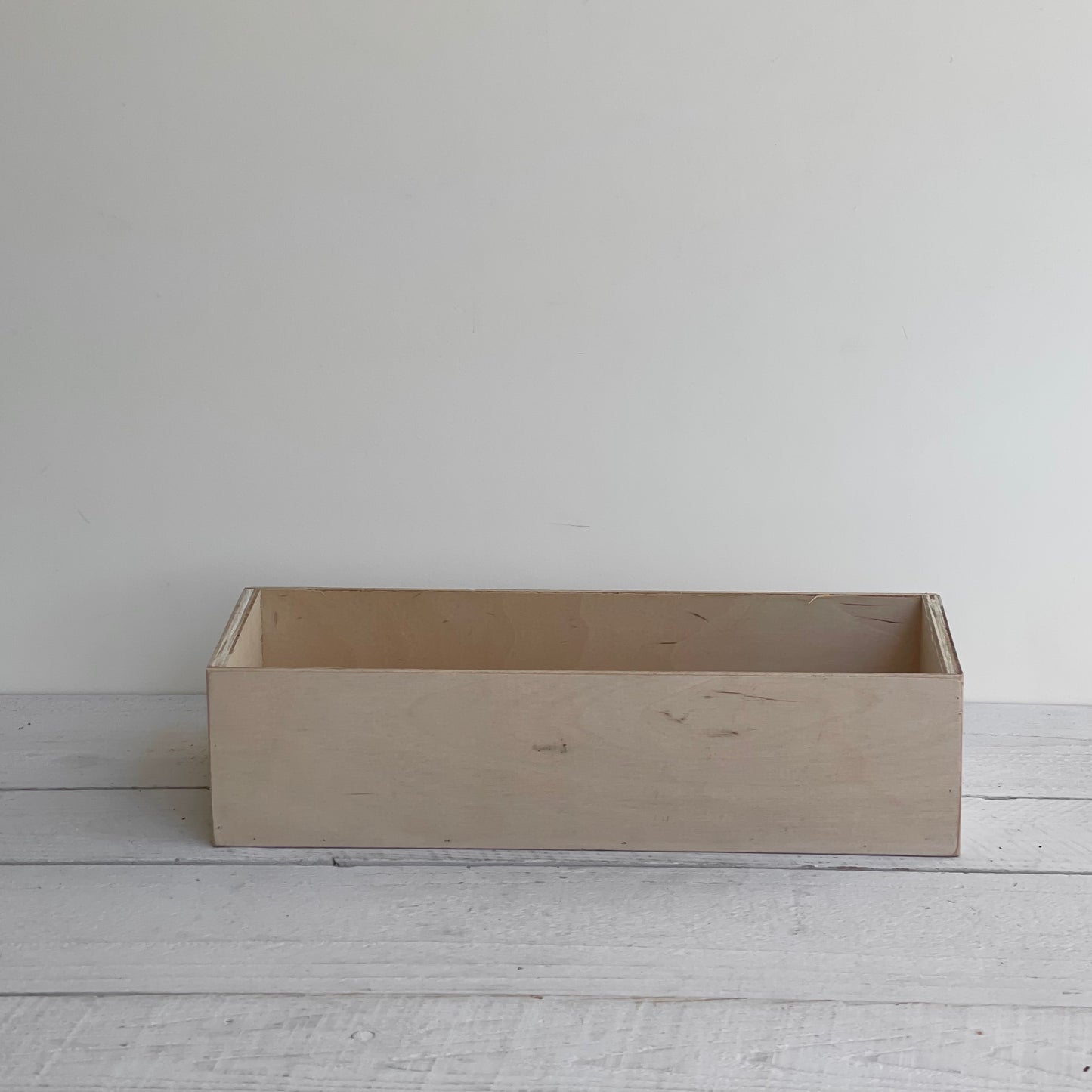 Unplanted Clementine Succulent Planter