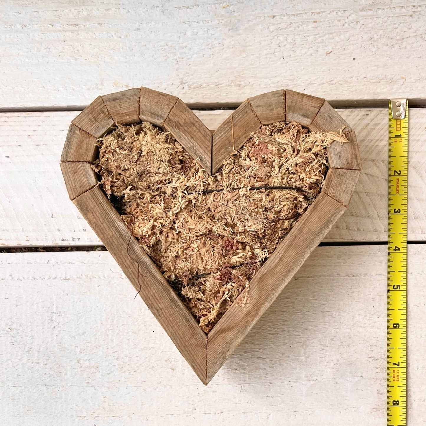 Unplanted Vertical Garden Heart - Succulent Artworks