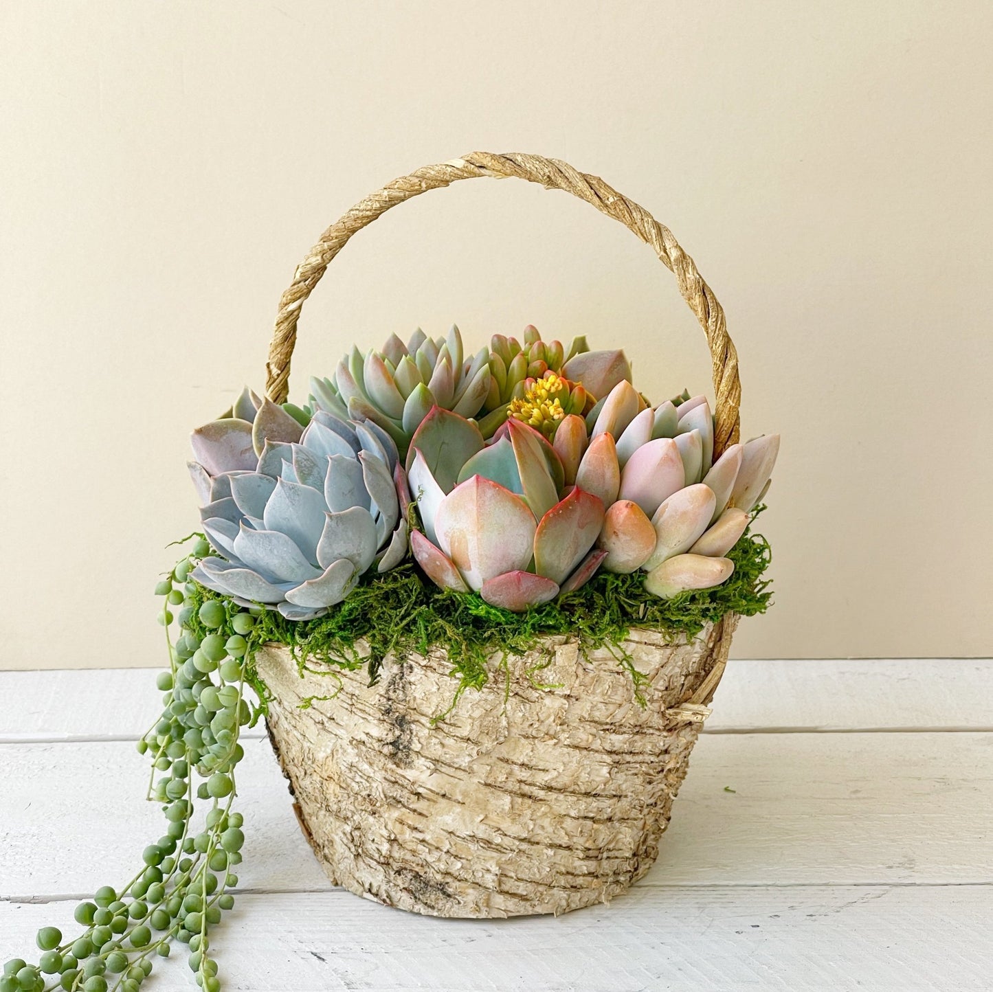 Meadow Basket of Succulents - Succulent Artworks