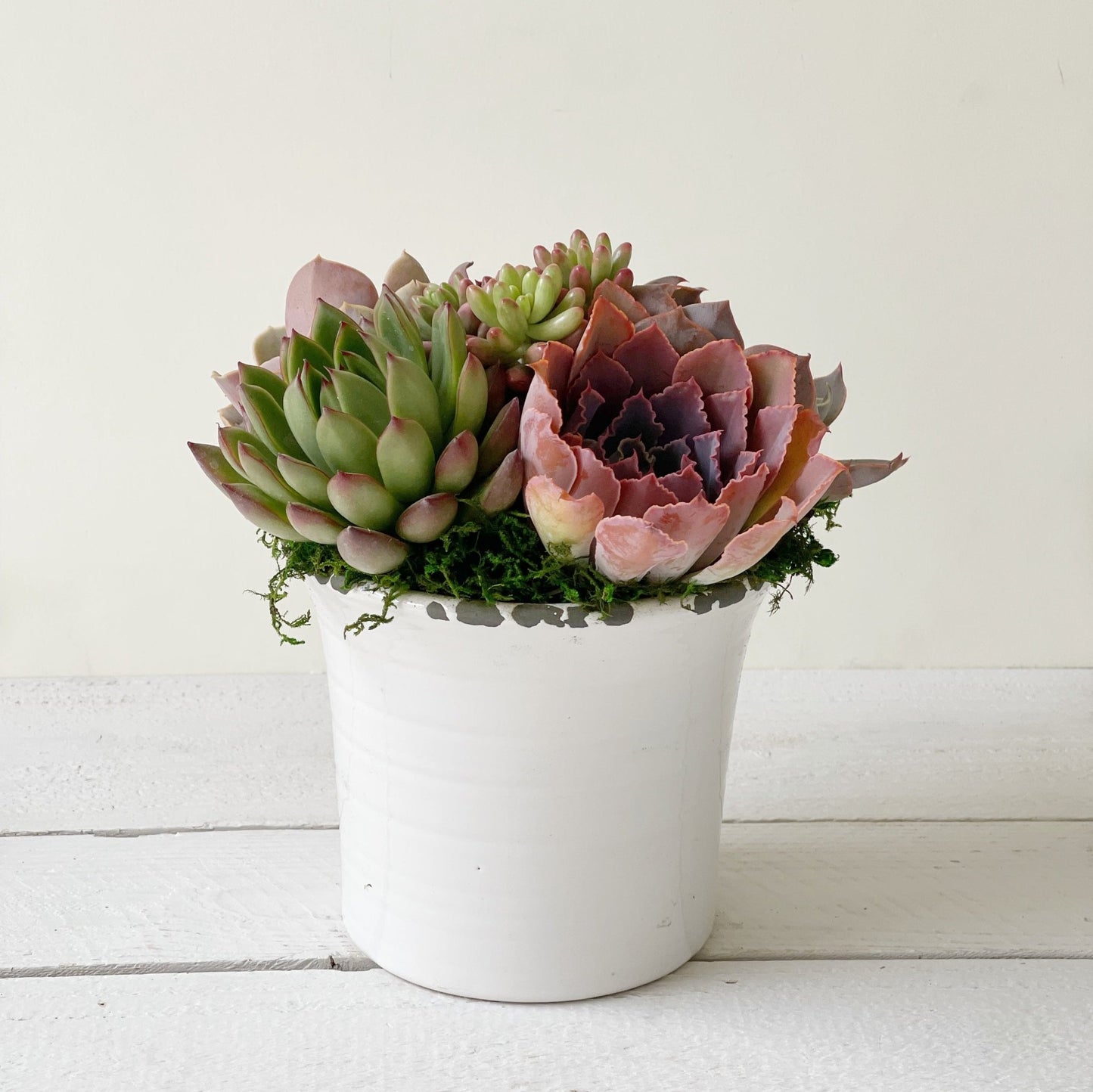 Vintage Country Ceramic - Succulent Artworks