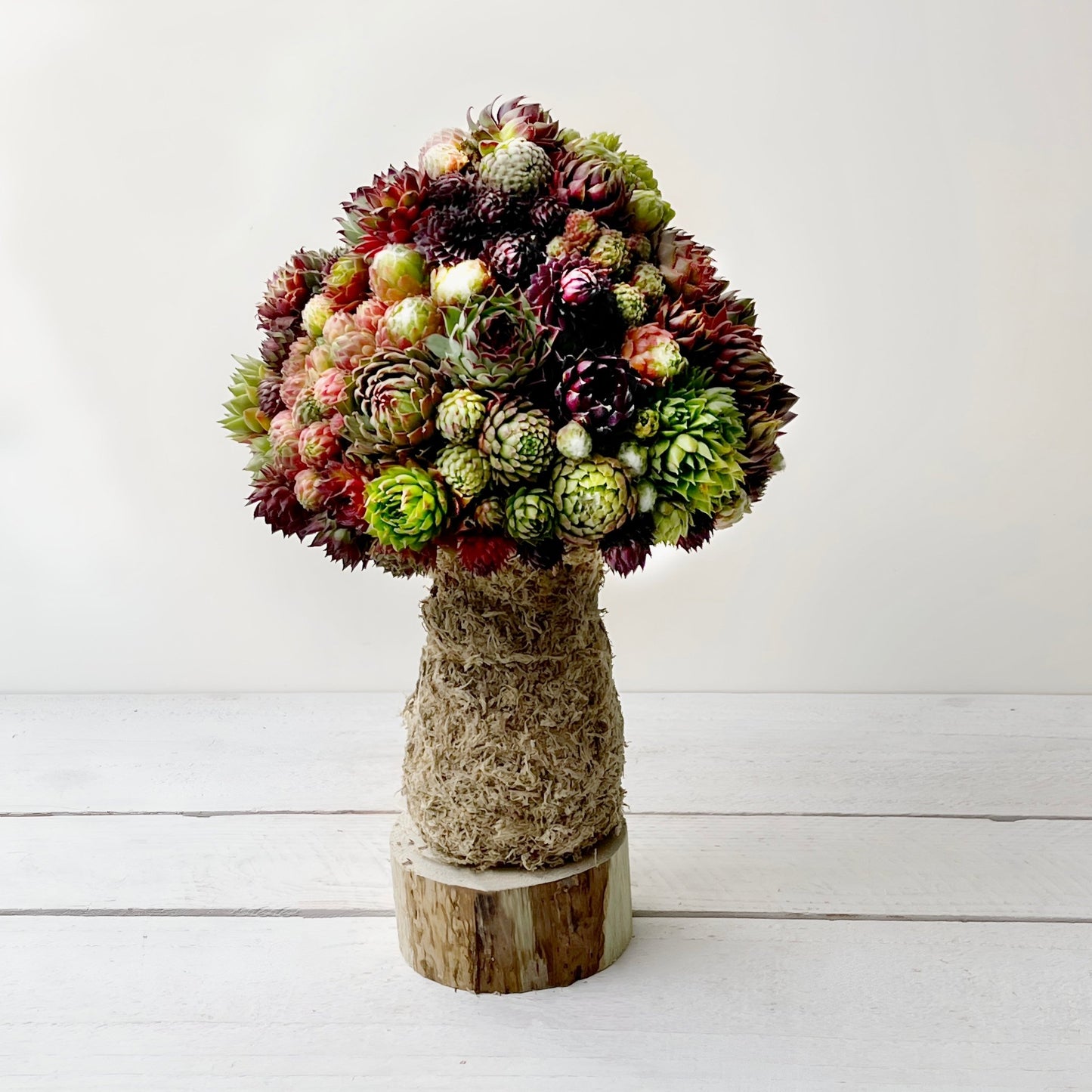 Trending Mushroom Topiary - Succulent Artworks