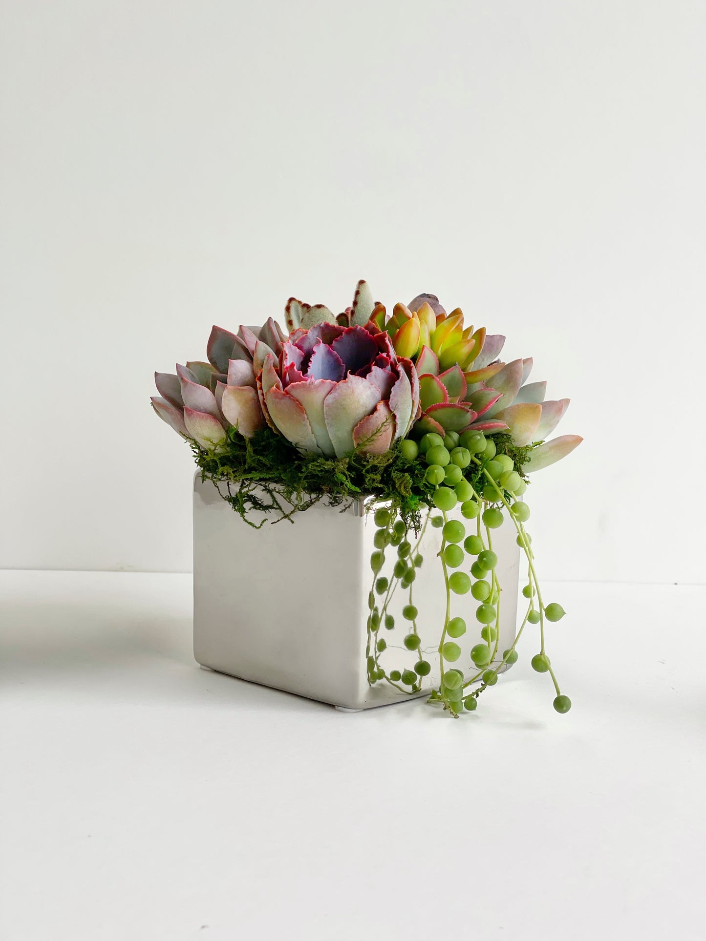 Elegant Metallic Glazed Ceramic Cube, Planted with Succulents