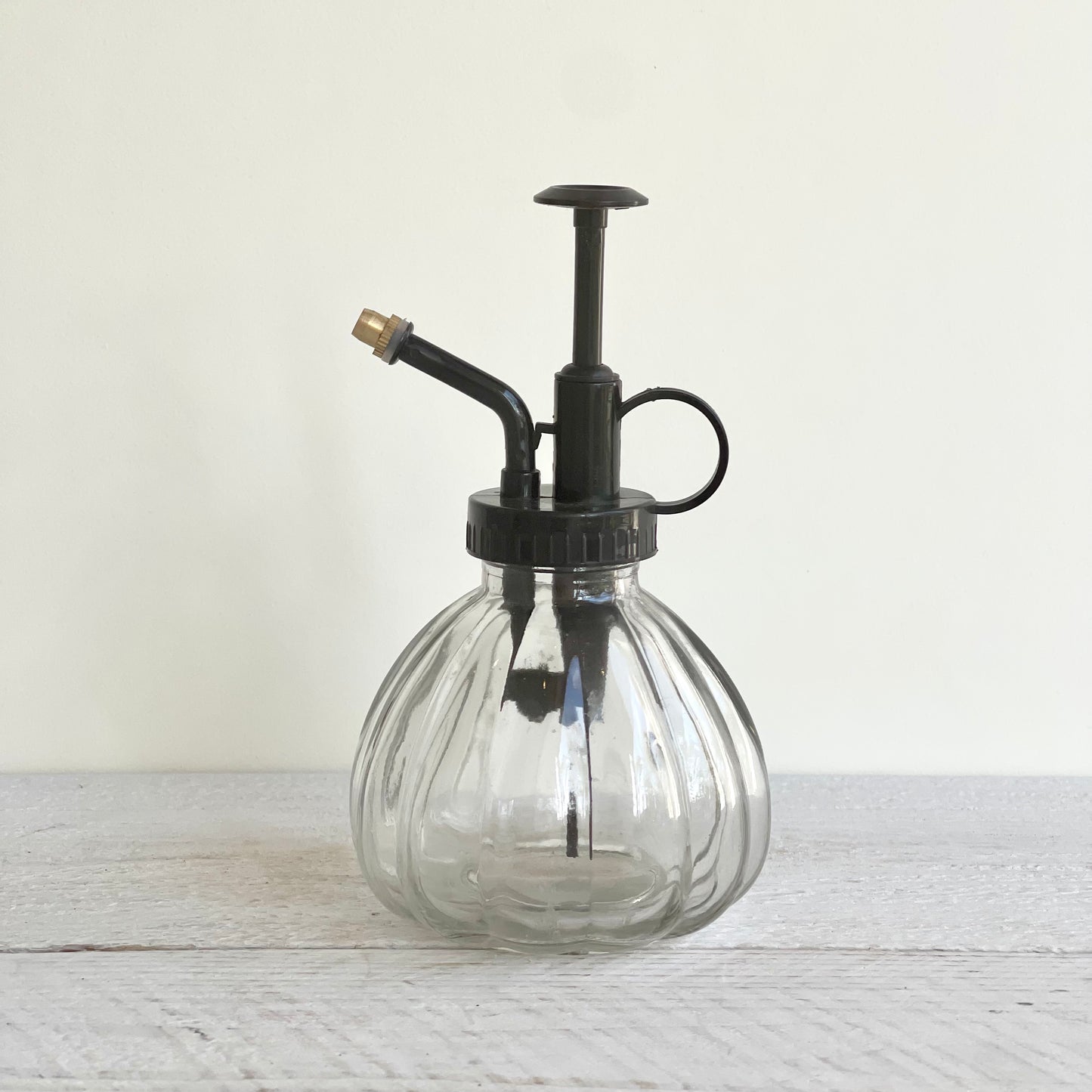 Unplanted Air Plant Display Frame & Mister