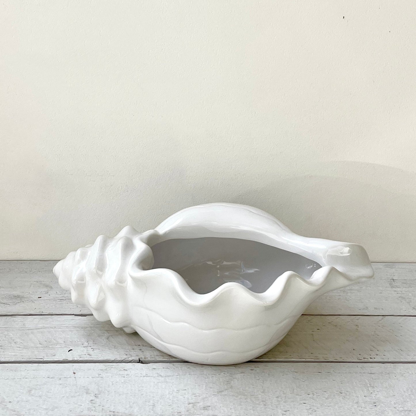 Unplanted Laura Seashell - Succulent Artworks