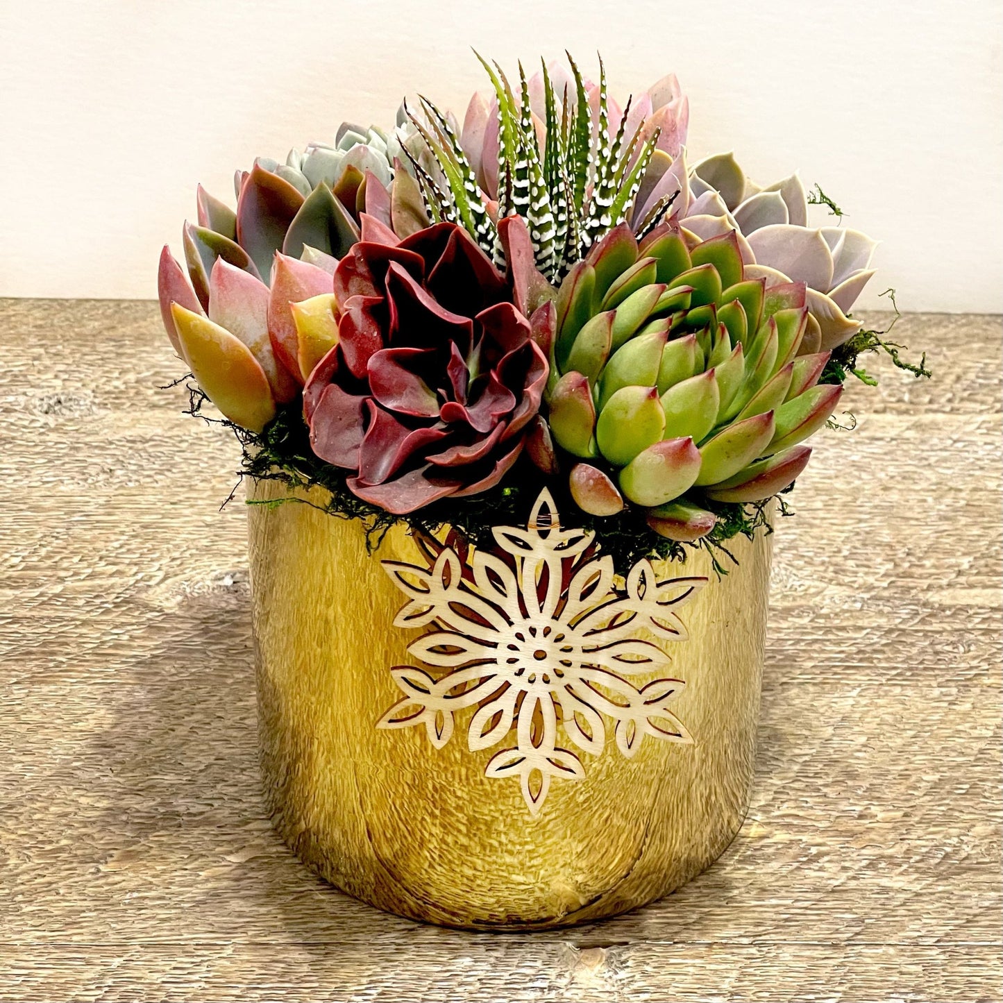 Golden glazed ceramic pot with Succulents - Succulent Artworks