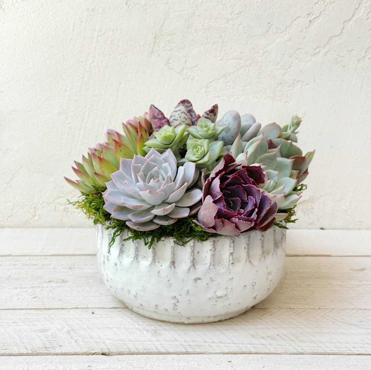 Glazed Talulla Stoneware Planter - Succulent Artworks