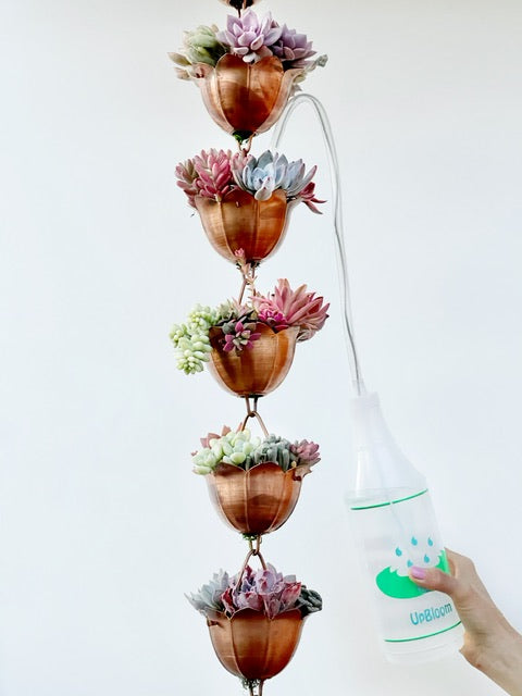Accessories for Watering Succulents