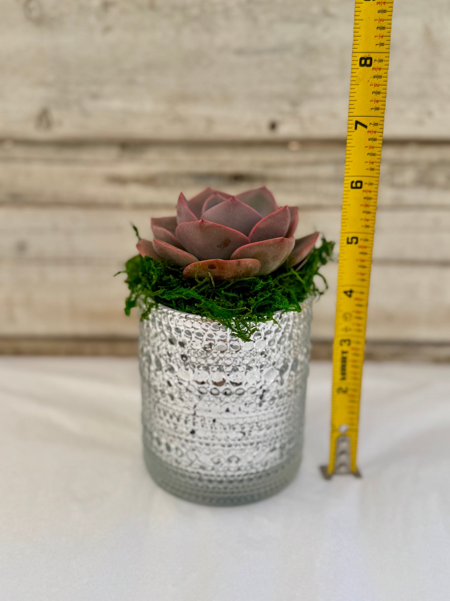 4-Inch Metallic Silver Favors