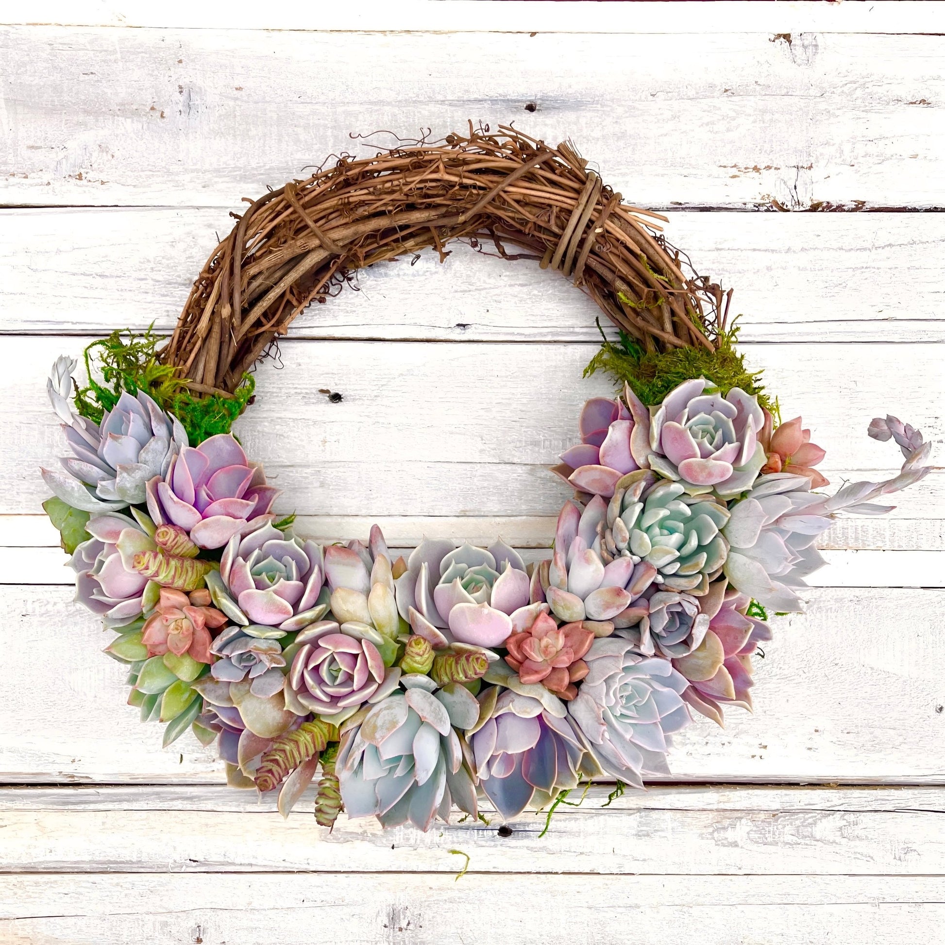 succulent wreath for sale Emilee Grapevine Wreath Trimmed With Succulents