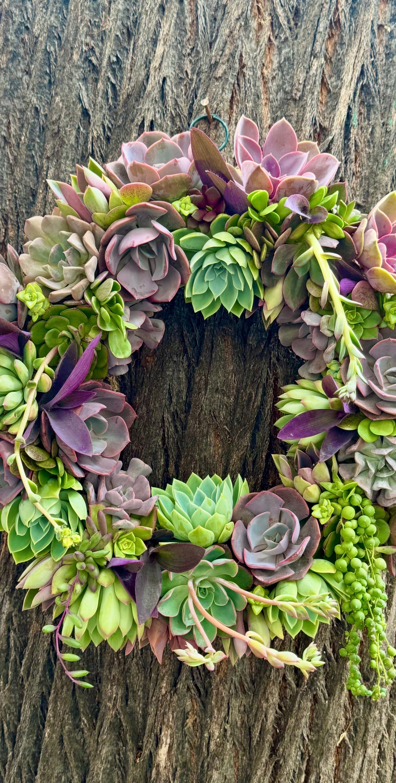 Ellie Wreath