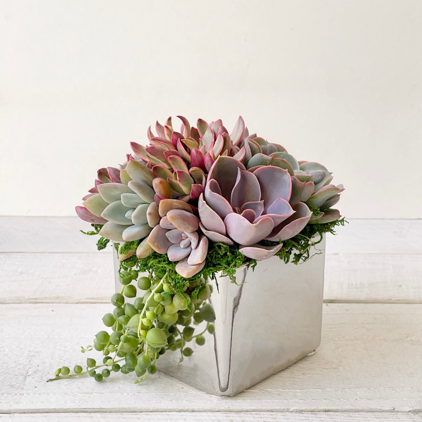Elegant Metallic Glazed Ceramic Cube, Planted with Succulents