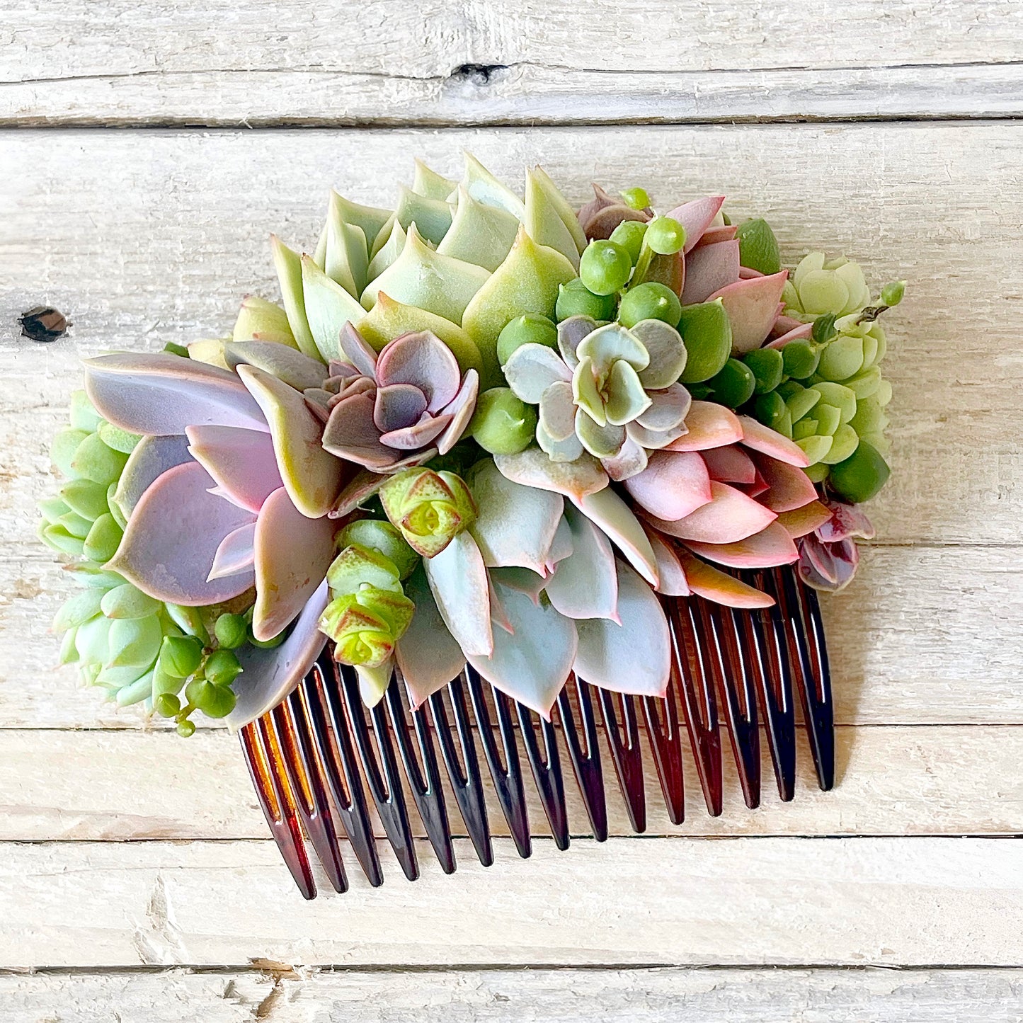Succulent Trimmed Comb