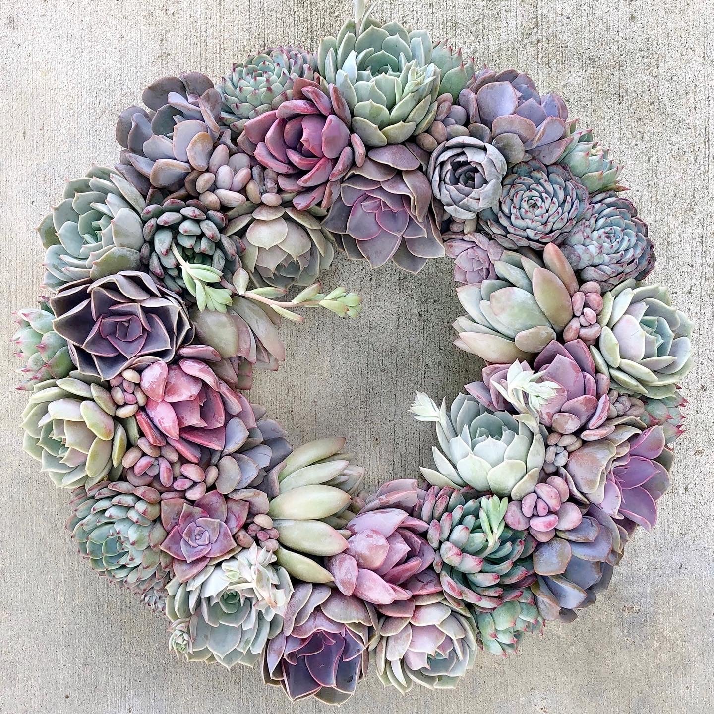 Caroline Succulent Bouquet Wreath