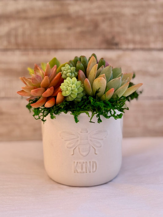 Bee Kind Planter