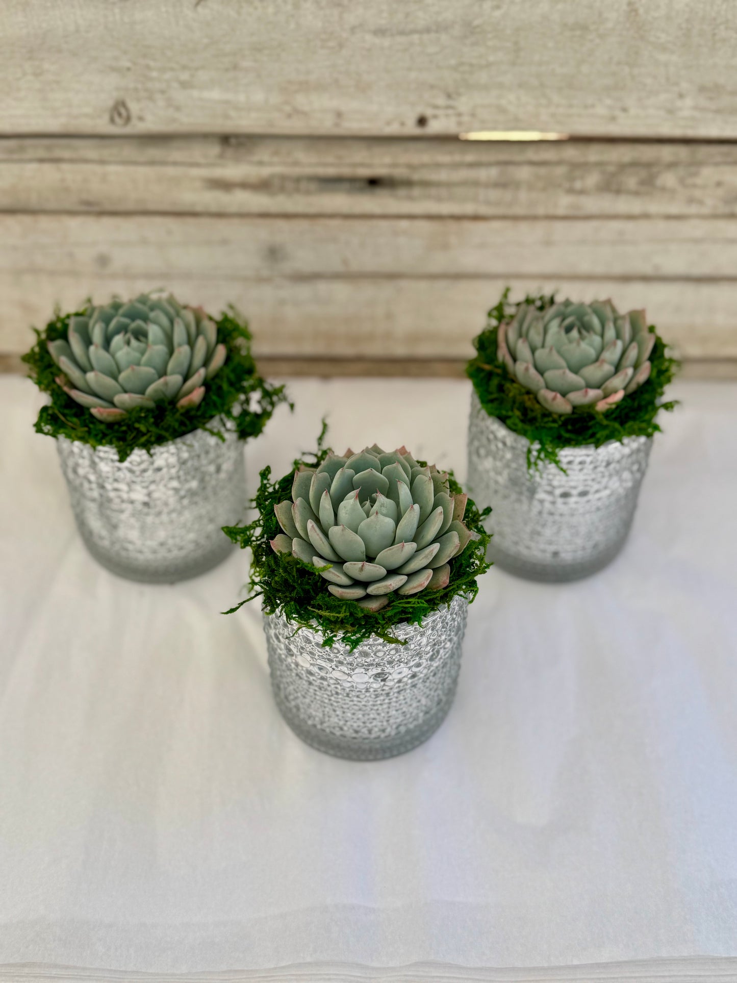 4-Inch Metallic Silver Favors