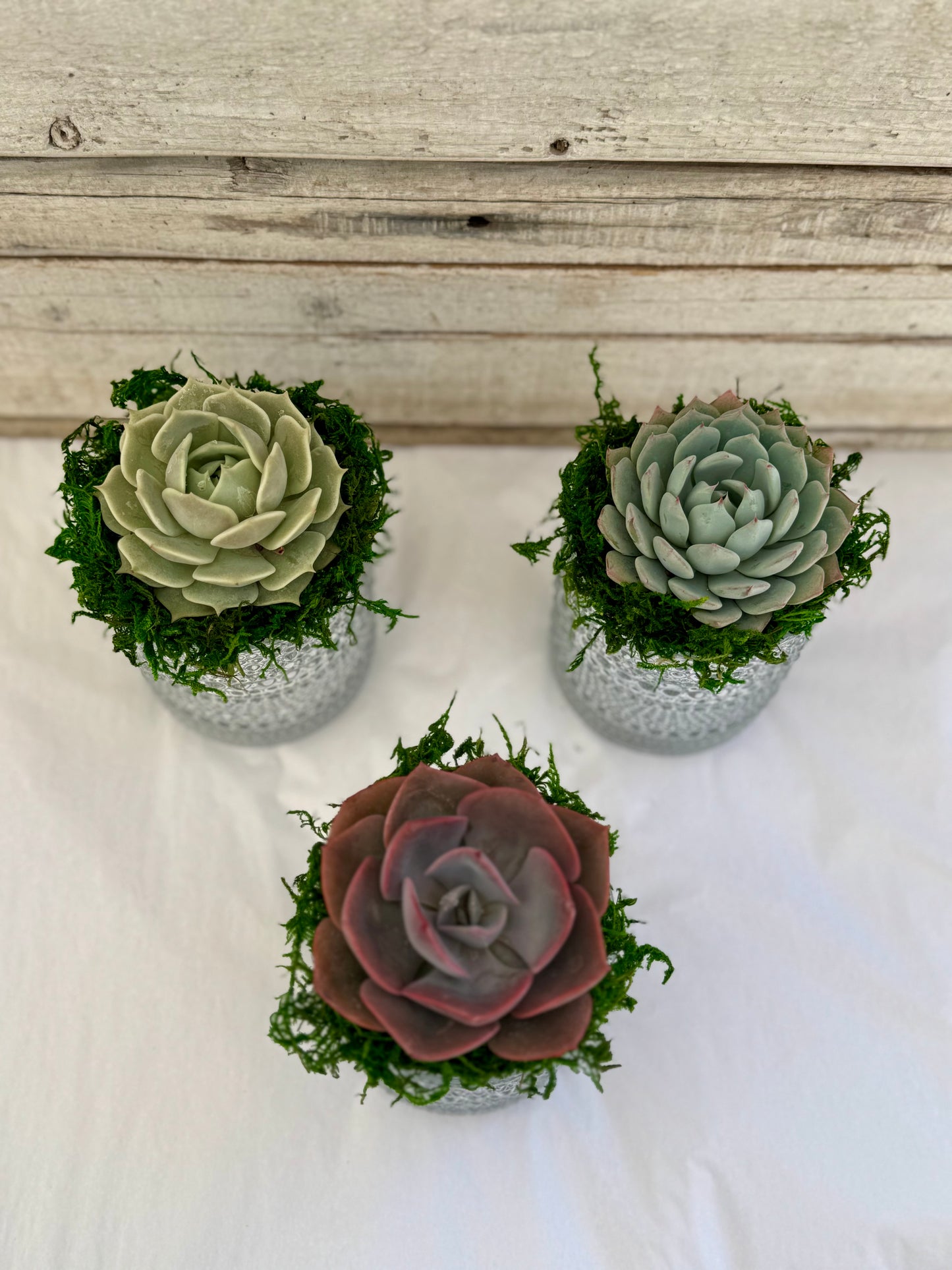 4-Inch Metallic Silver Favors