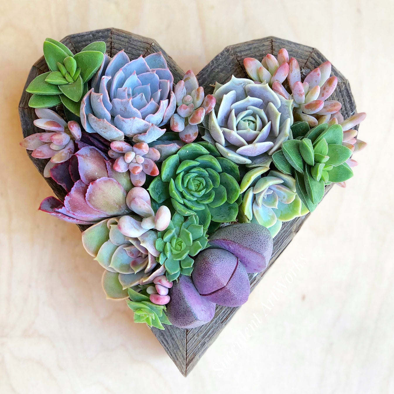 Succulent Heart Shaped Vertical Garden Succulent Artworks 2404