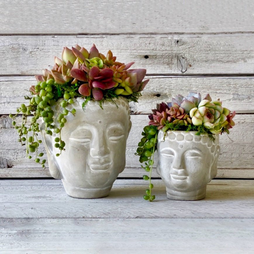 succulent zen Mini Zen Buddha Planter With Succulents
