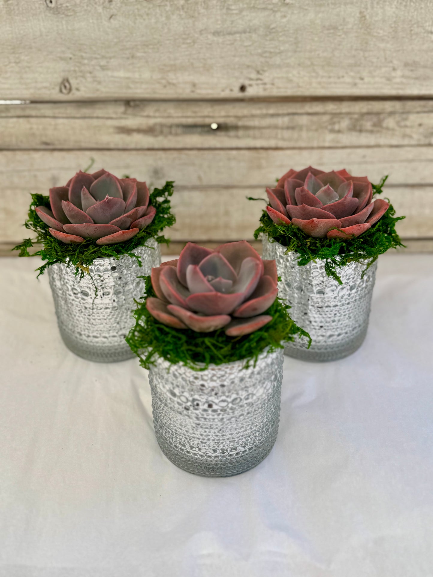 4-Inch Metallic Silver Favors