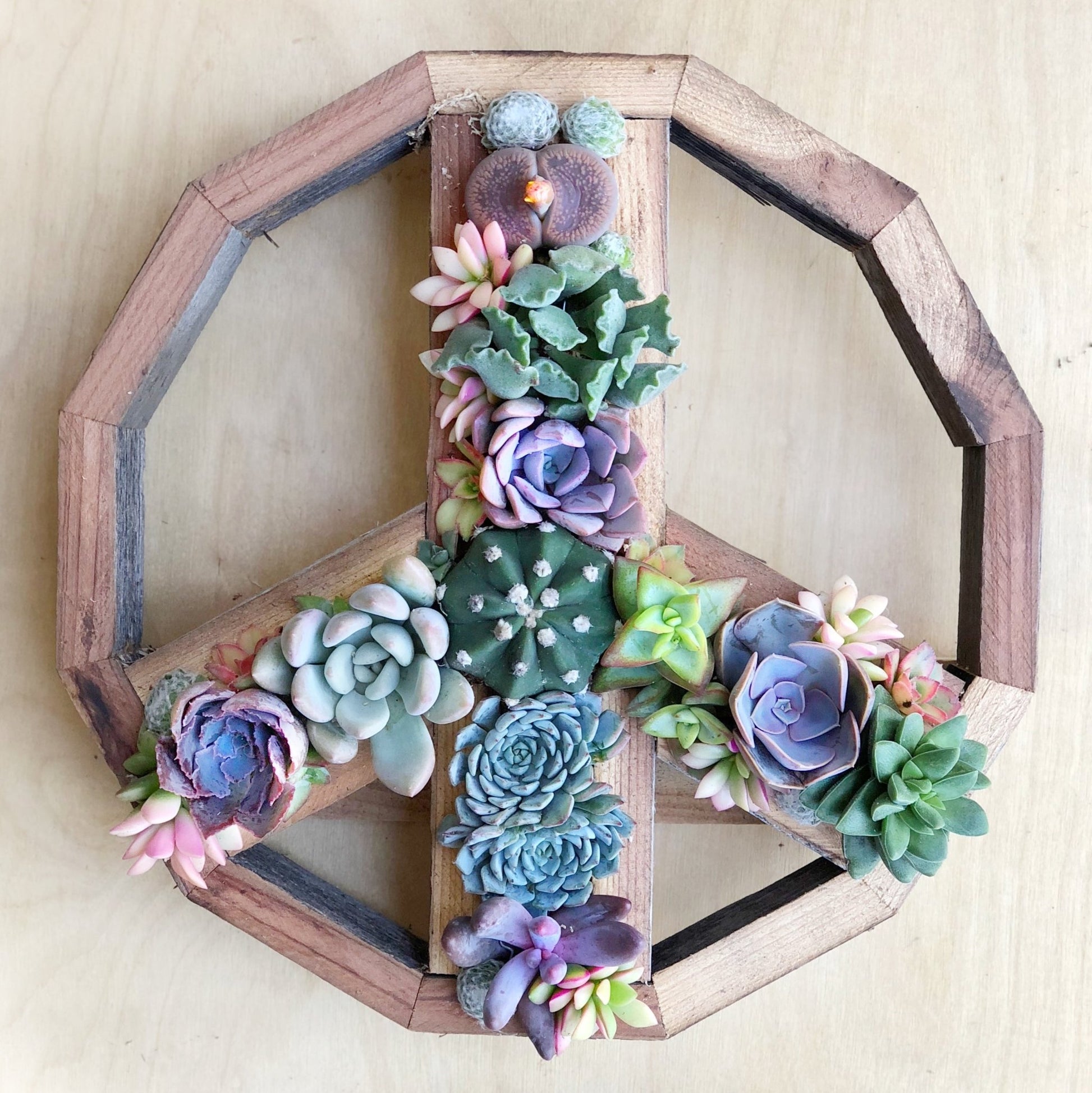 succulent garden sign Vertical Garden Peace Sign
